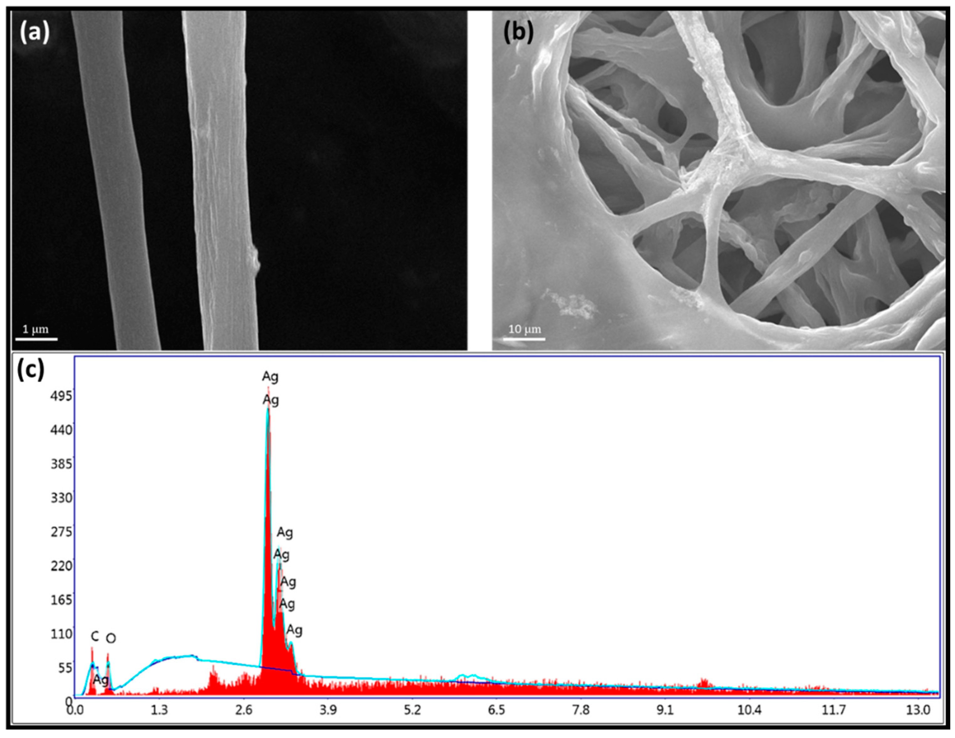 Applsci 13 02158 g002
