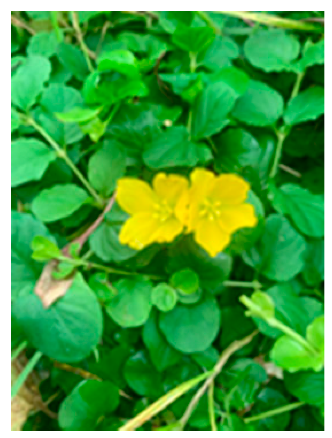 Applsci 13 02159 g001