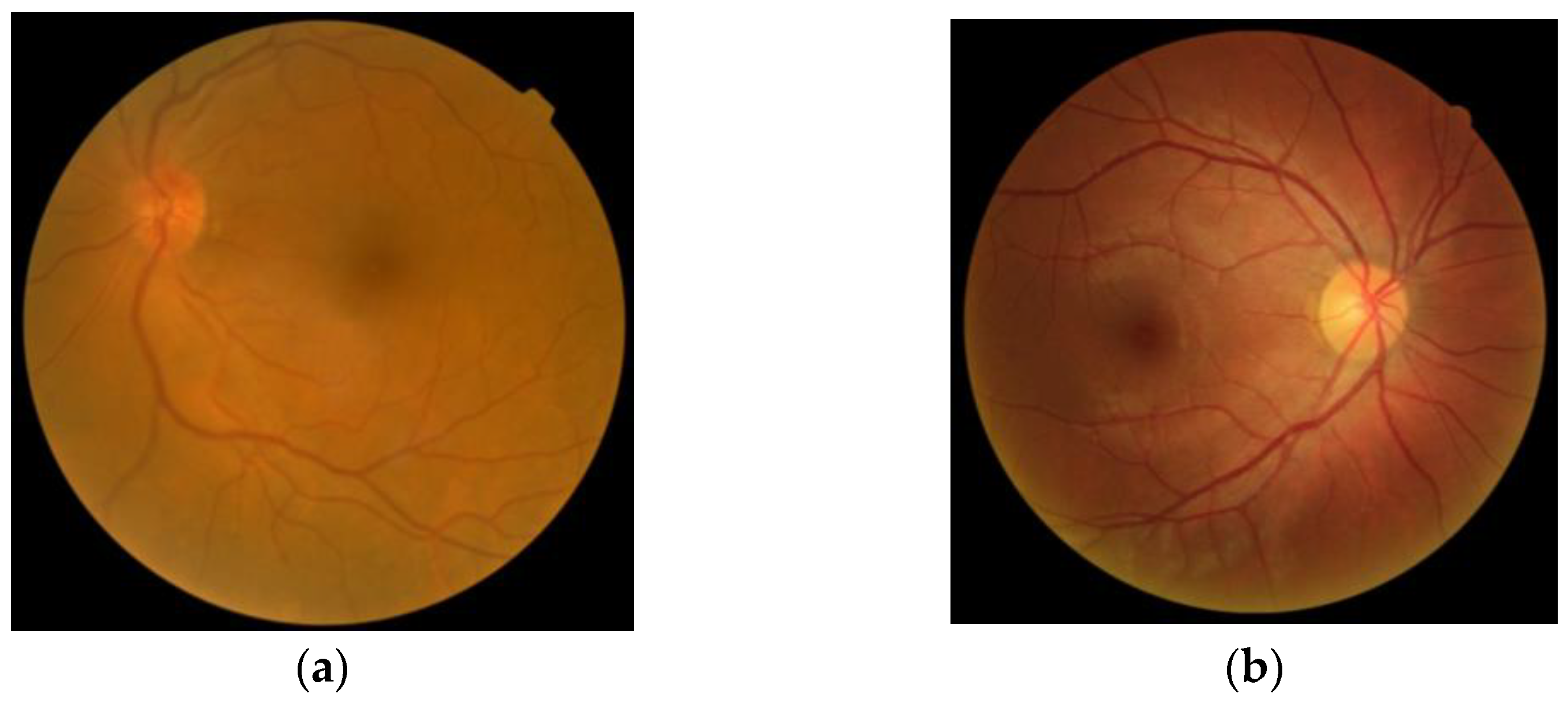 Applsci 13 02195 g001 550