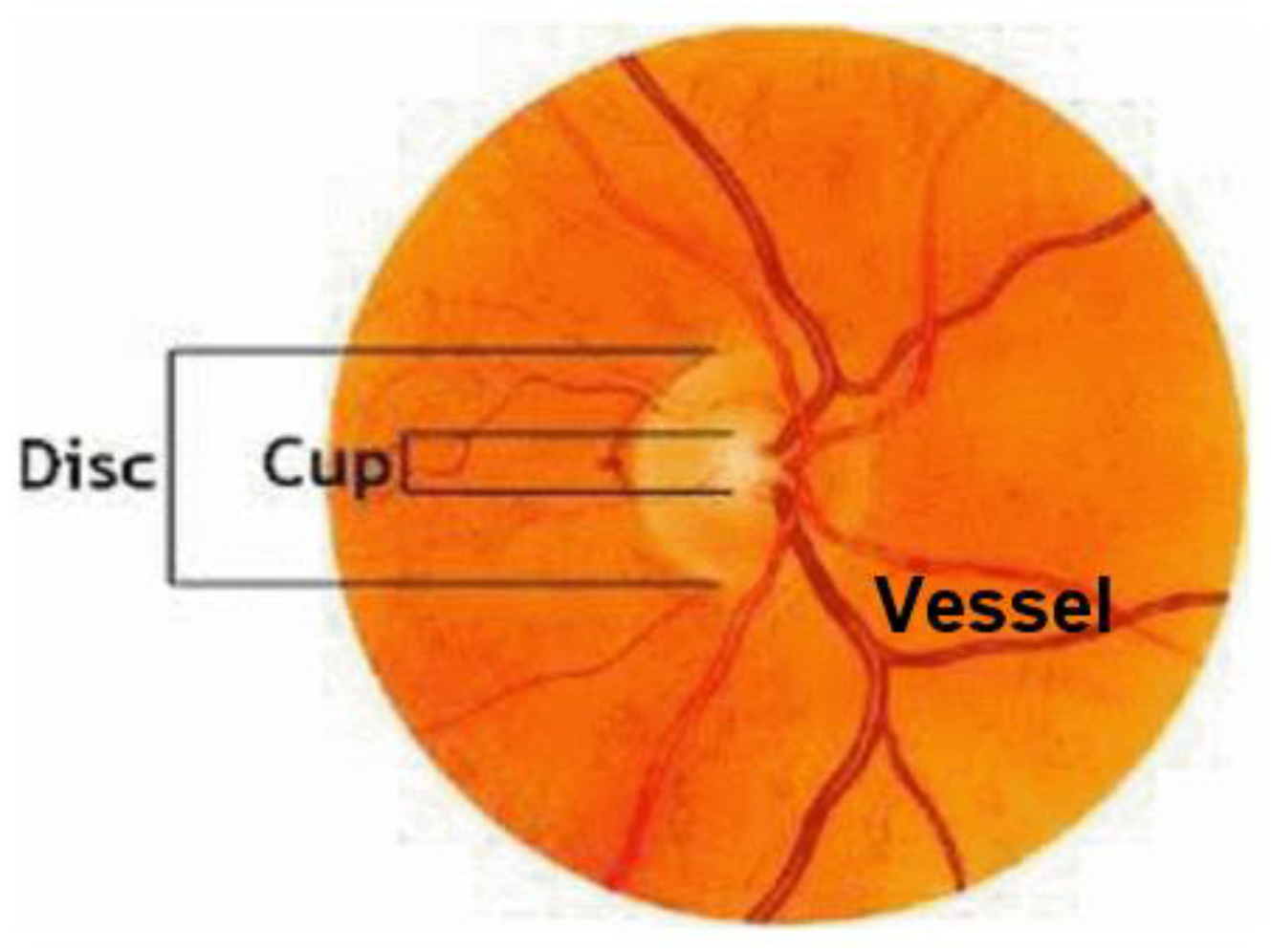 Applsci 13 02195 g002 550
