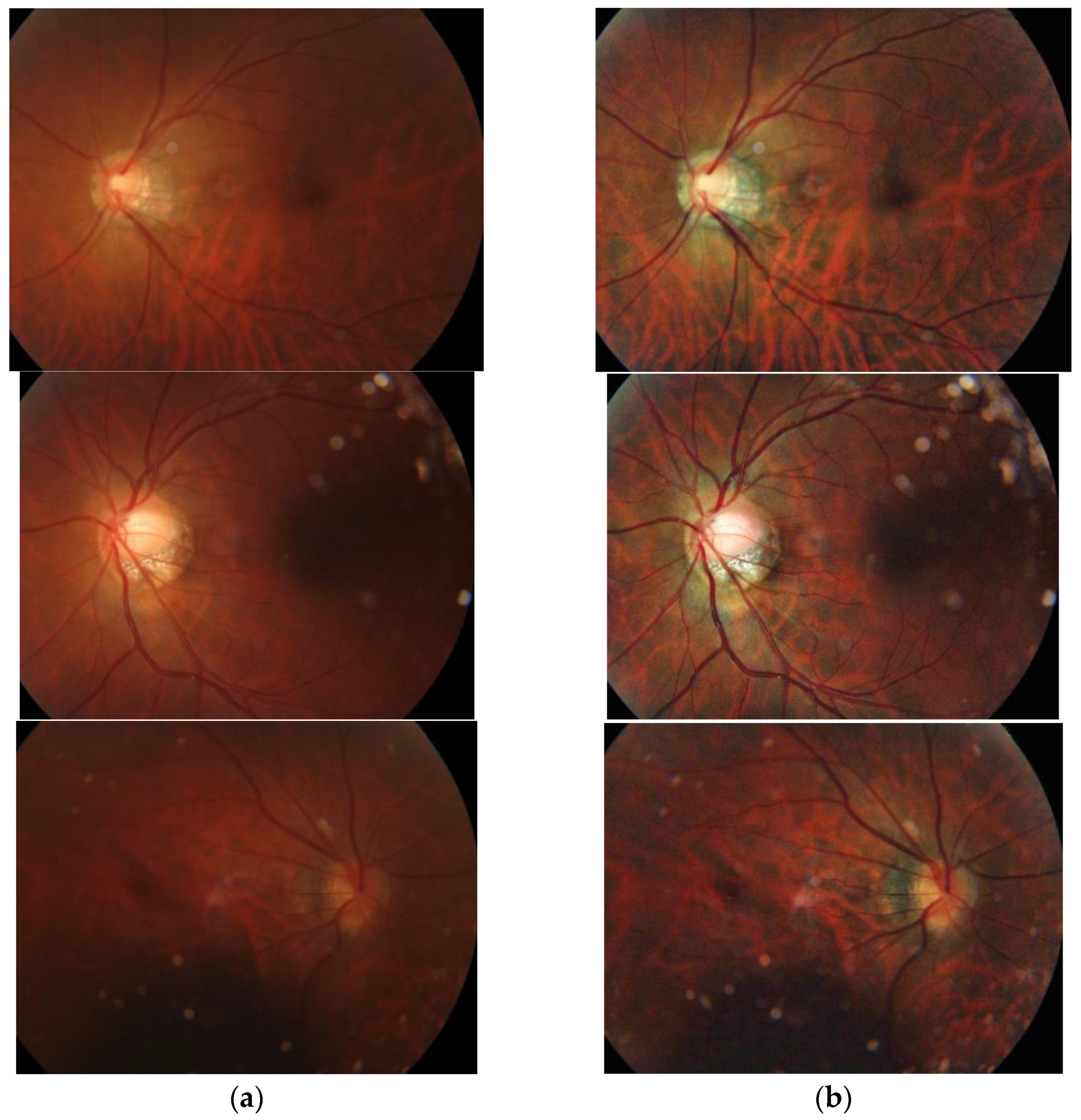 Applsci 13 02195 g009 550