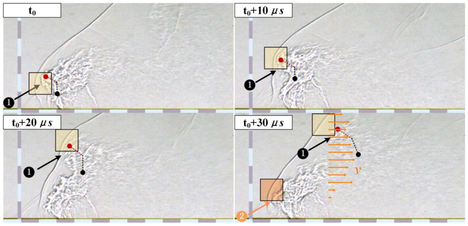 Applsci 13 02202 g010 Applsci 13 02202 g010