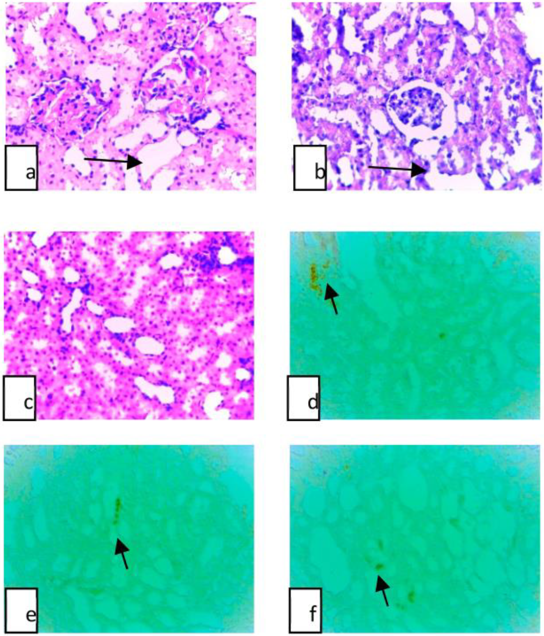 Applsci 13 02203 g001