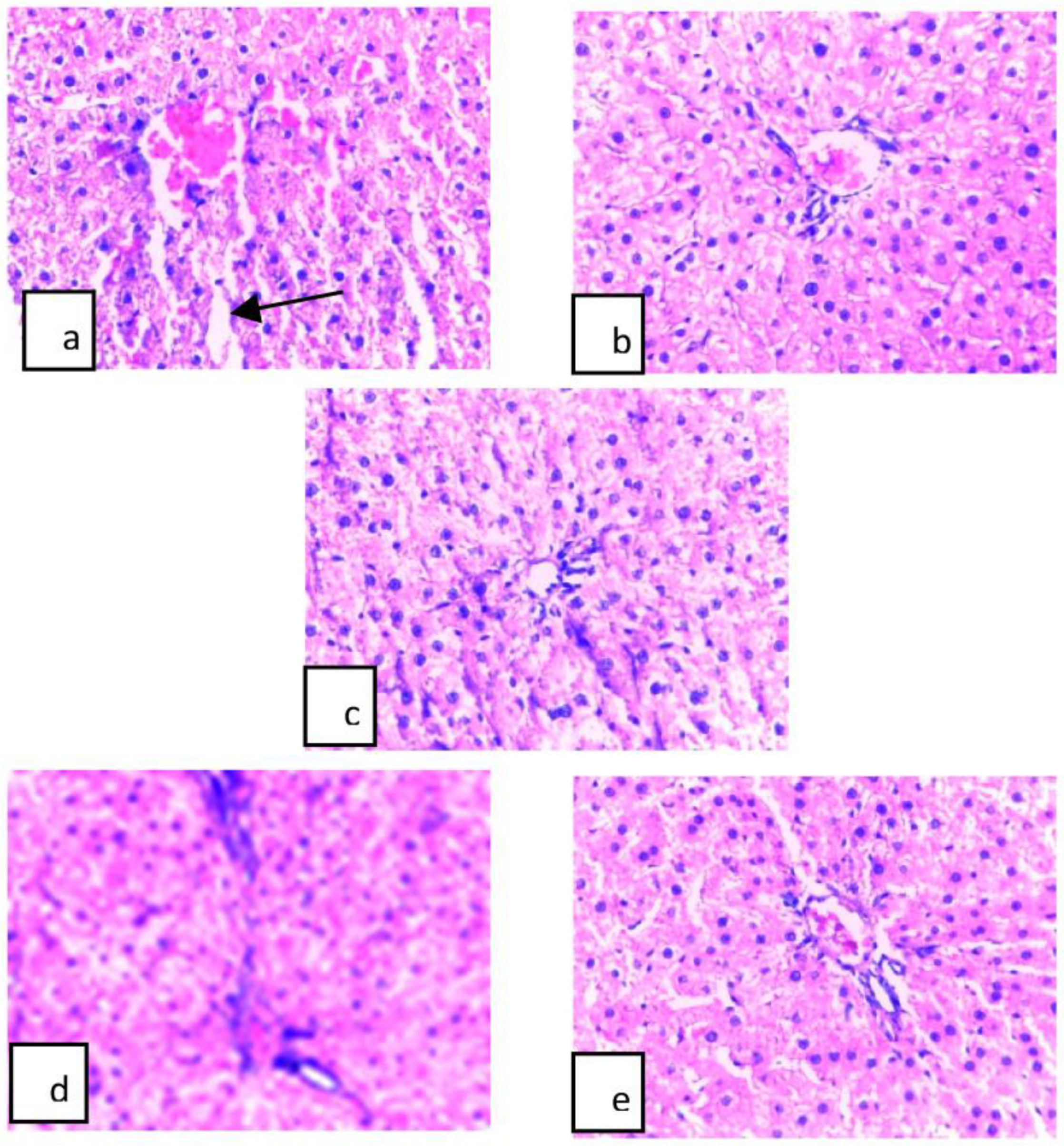 Applsci 13 02203 g002