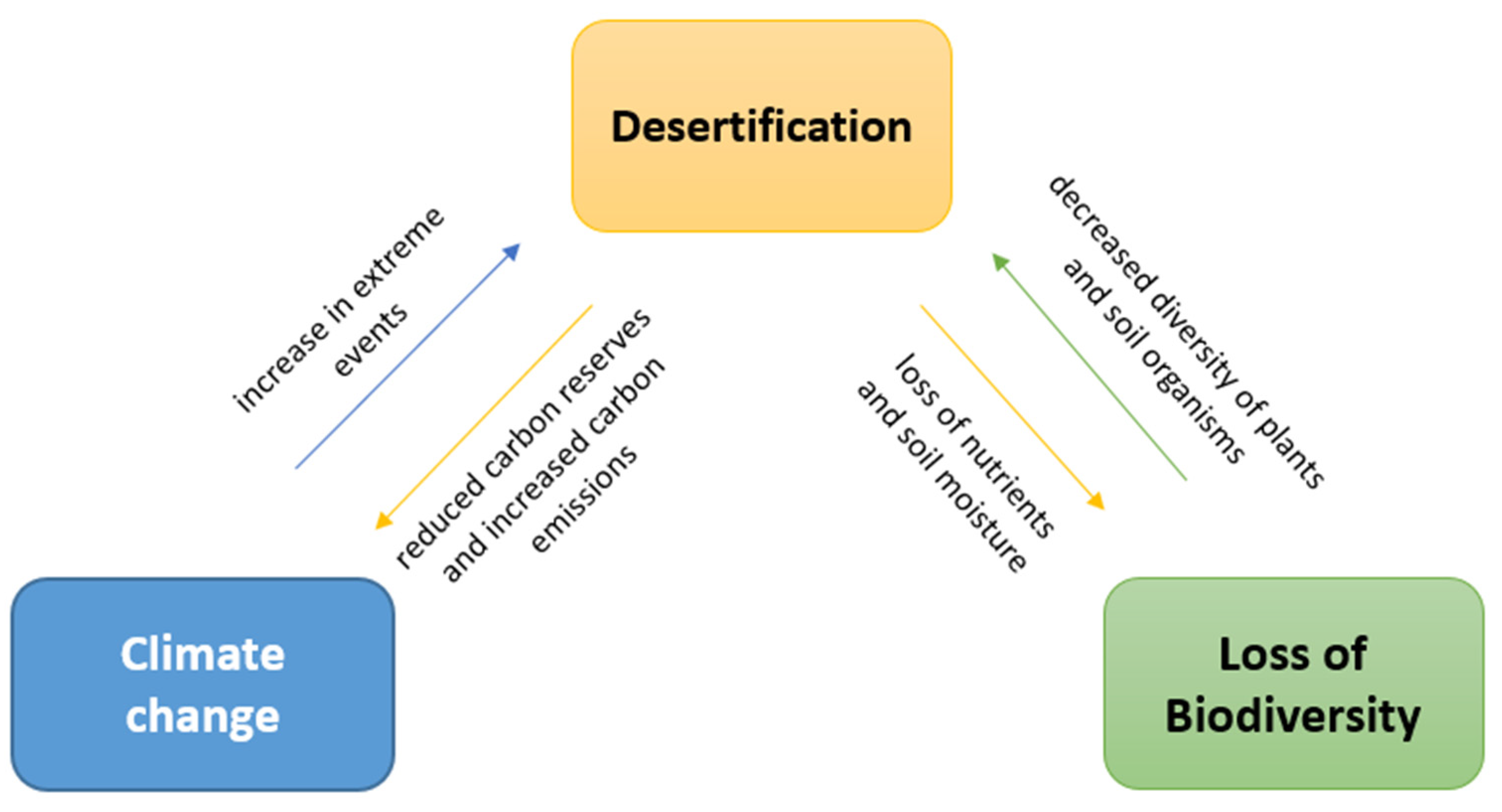 Applsci 13 02216 g004 Applsci 13 02216 g004