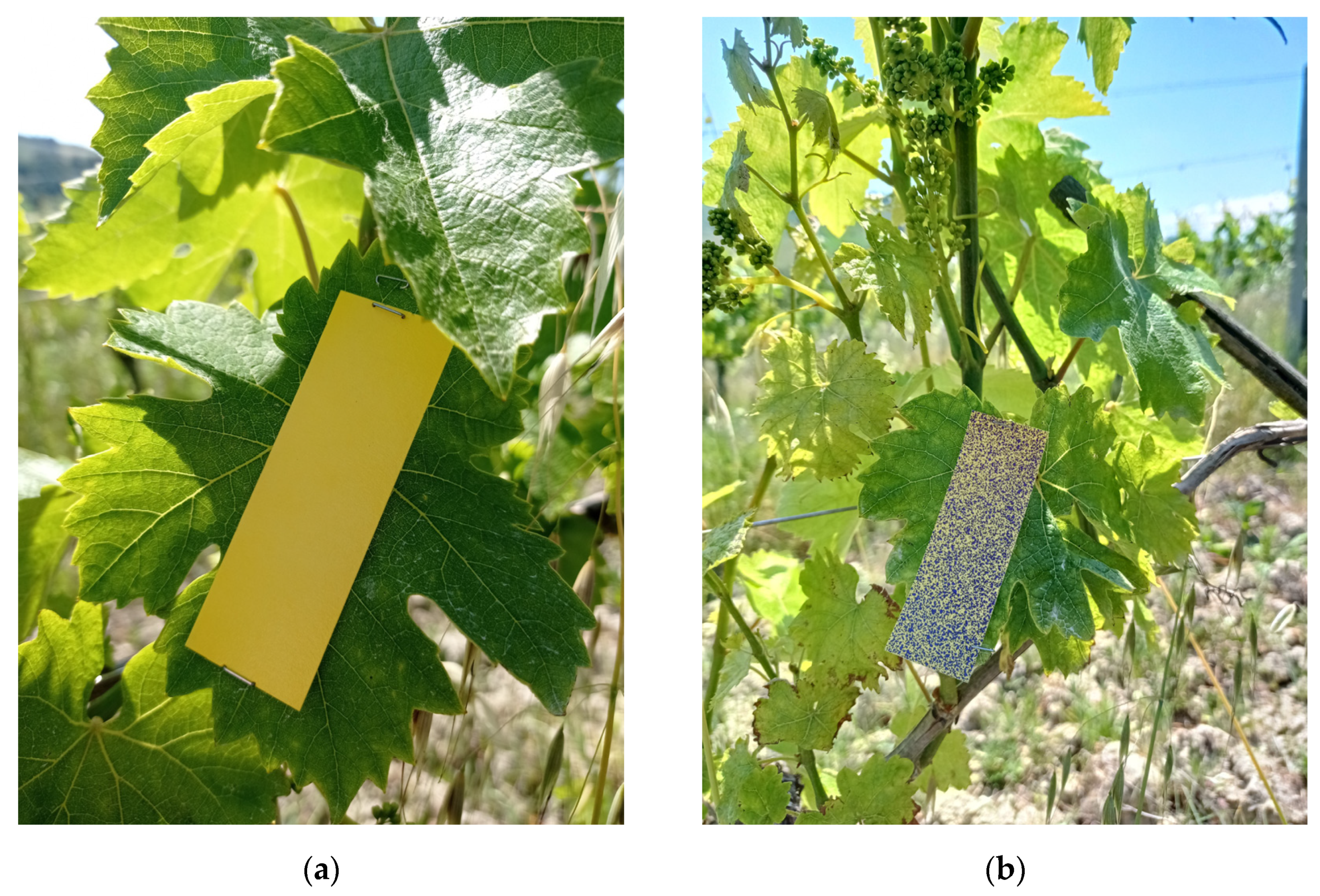 Applsci 13 02222 g005