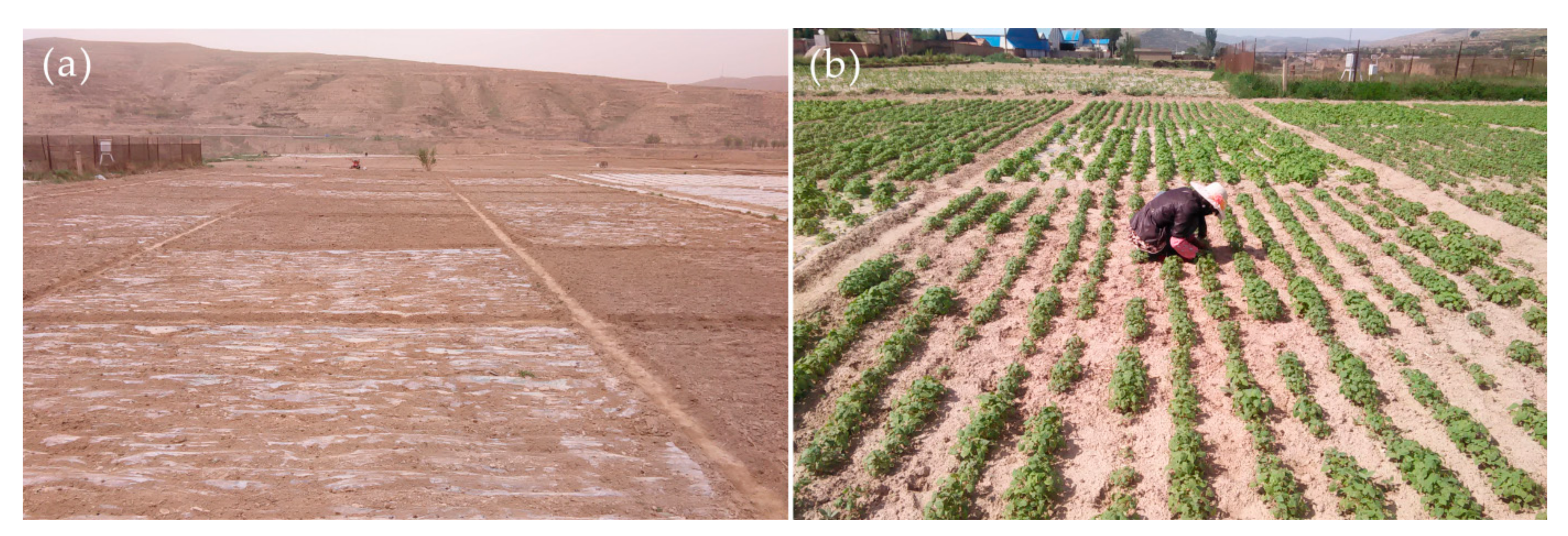 Applsci 13 02232 g002