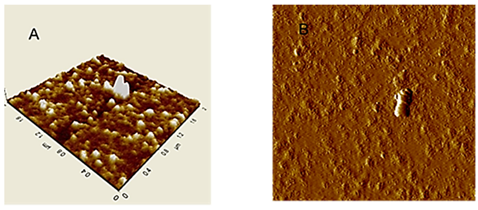 Applsci 13 02236 g002 Applsci 13 02236 g002