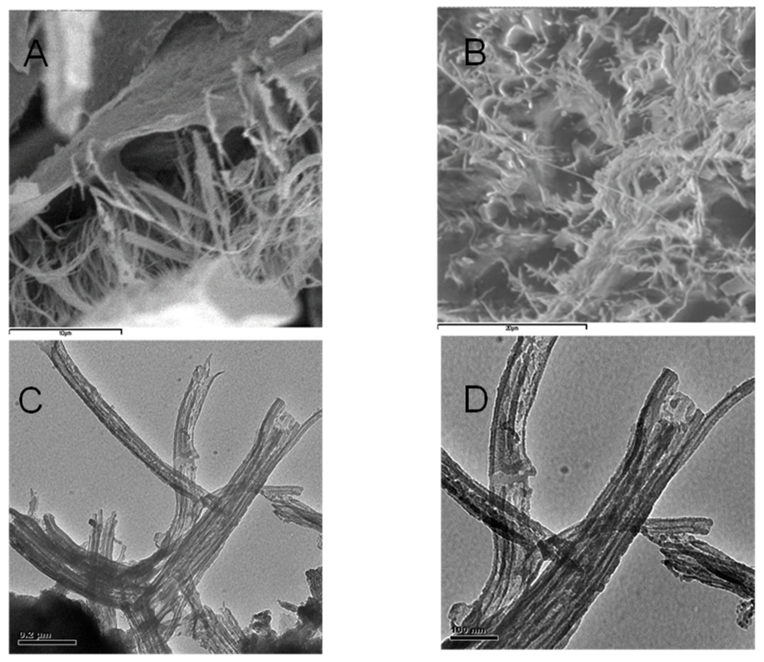 Applsci 13 02236 g005 Applsci 13 02236 g005