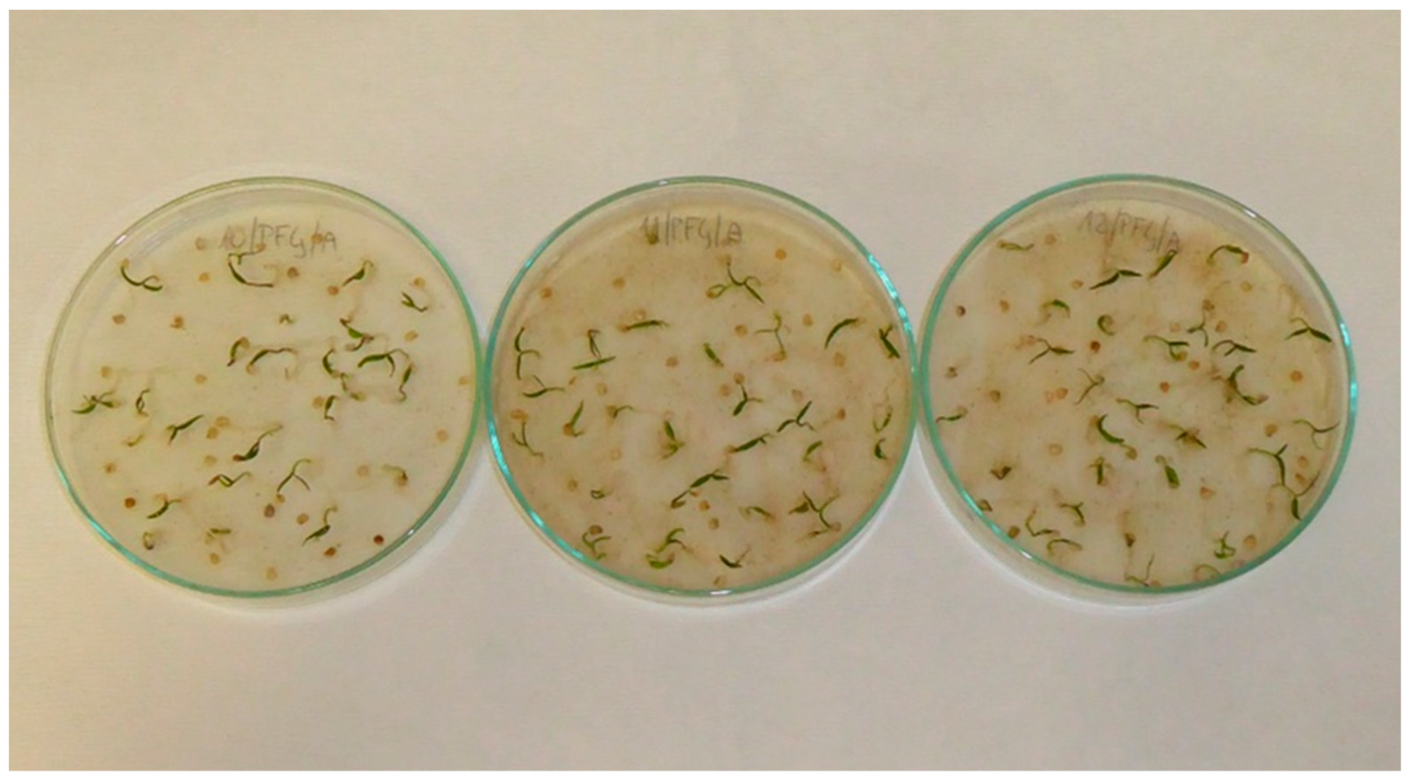 Applsci 13 02258 g0a1 Applsci 13 02258 g0a1