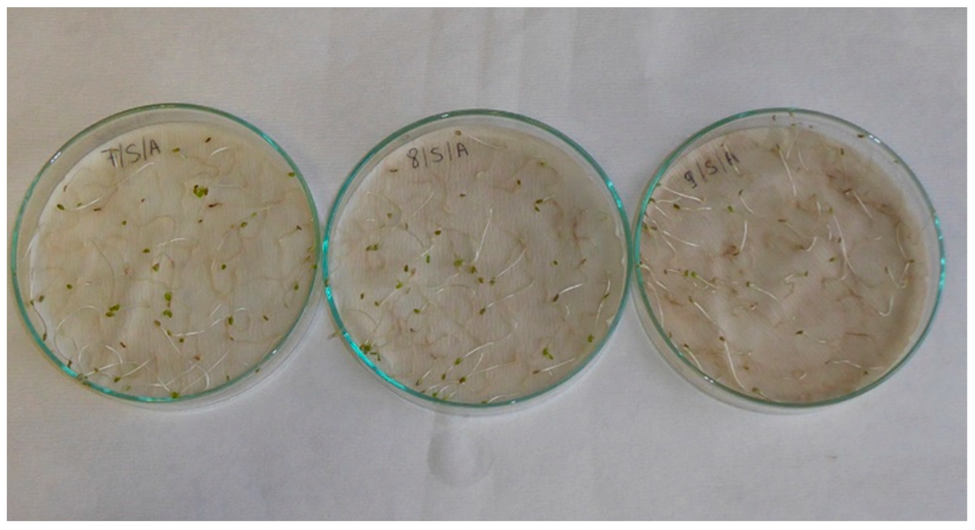 Applsci 13 02258 g0a10 Applsci 13 02258 g0a10