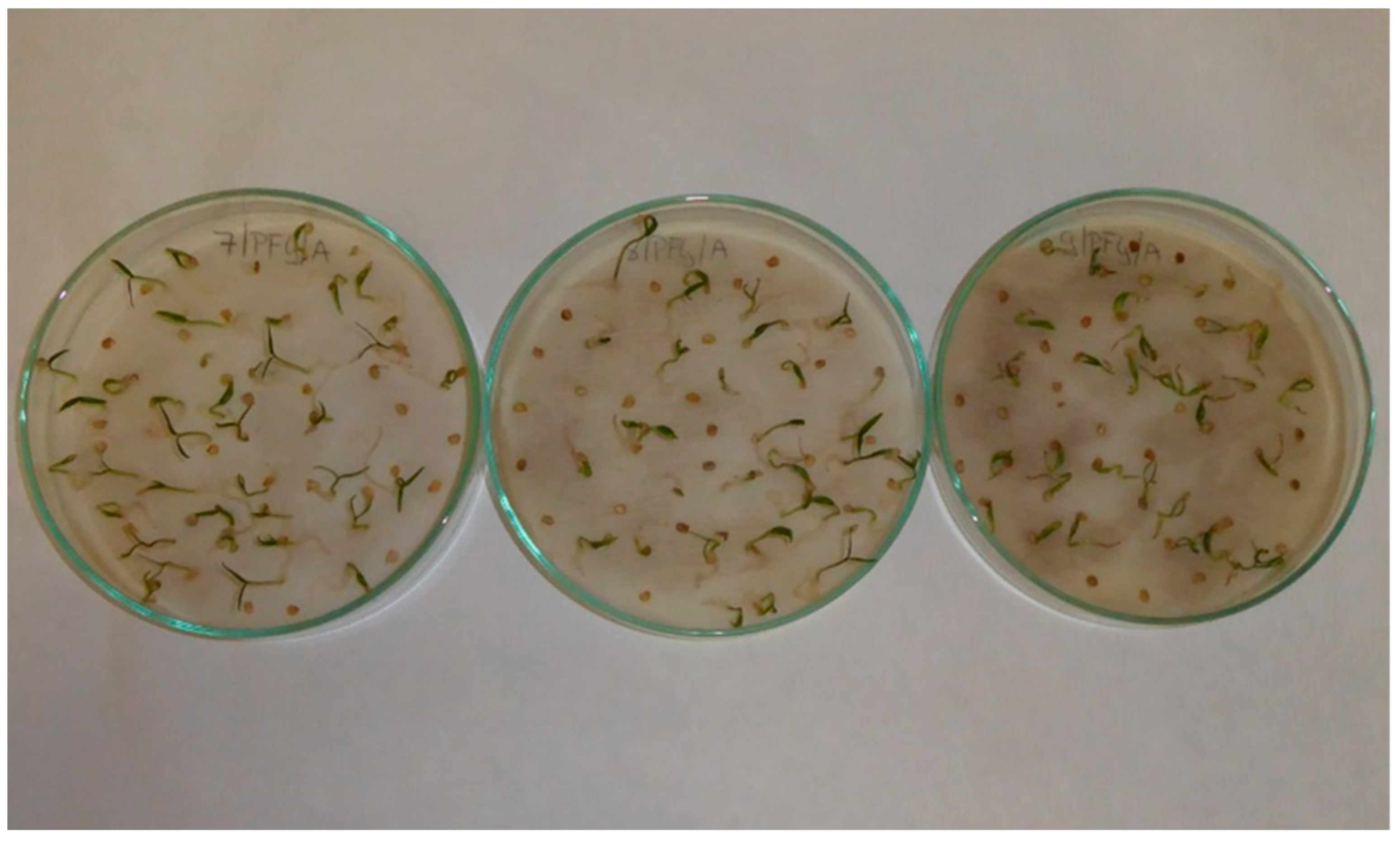 Applsci 13 02258 g0a2 Applsci 13 02258 g0a2