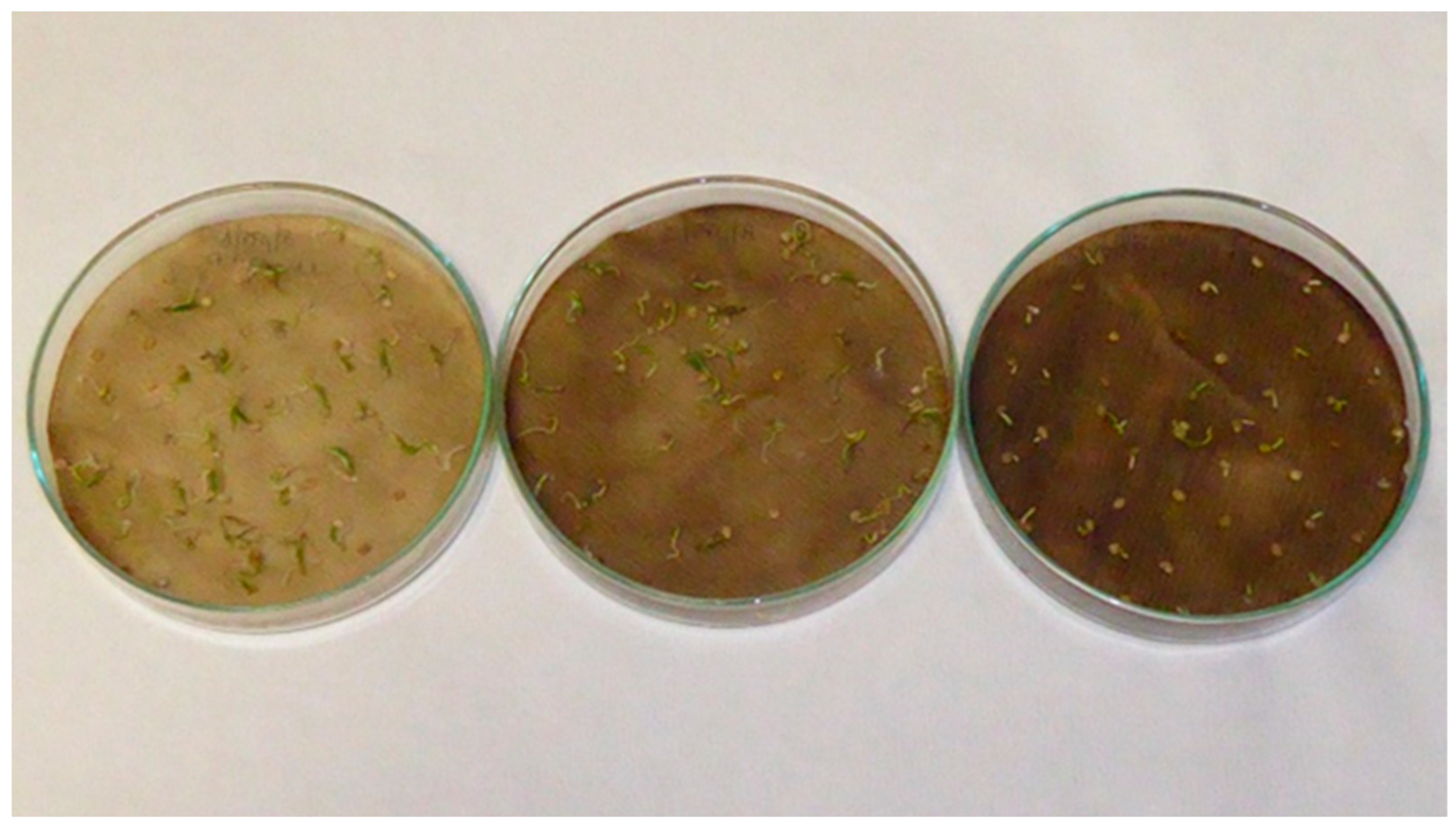 Applsci 13 02258 g0a4 Applsci 13 02258 g0a4