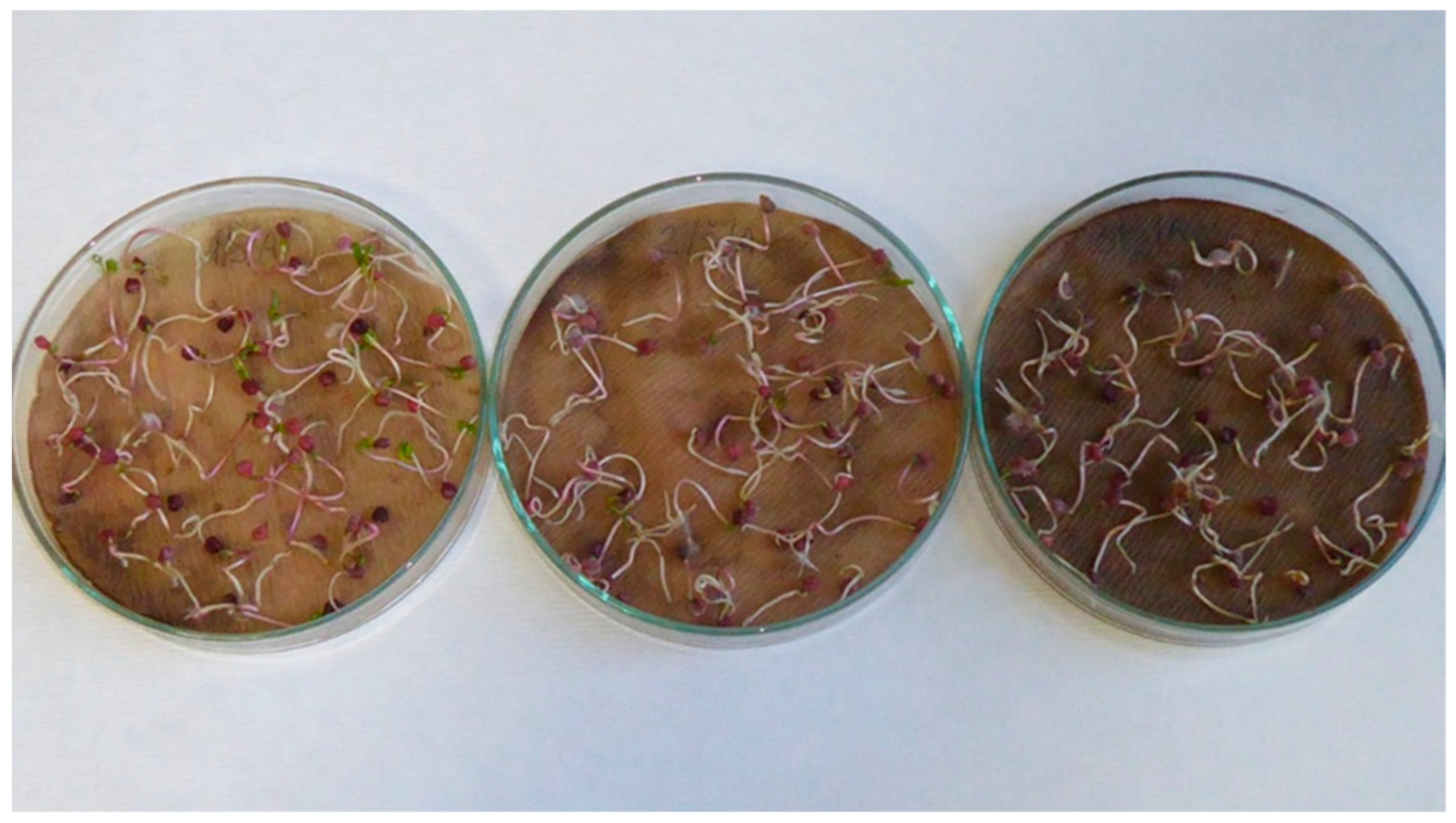 Applsci 13 02258 g0a8 Applsci 13 02258 g0a8