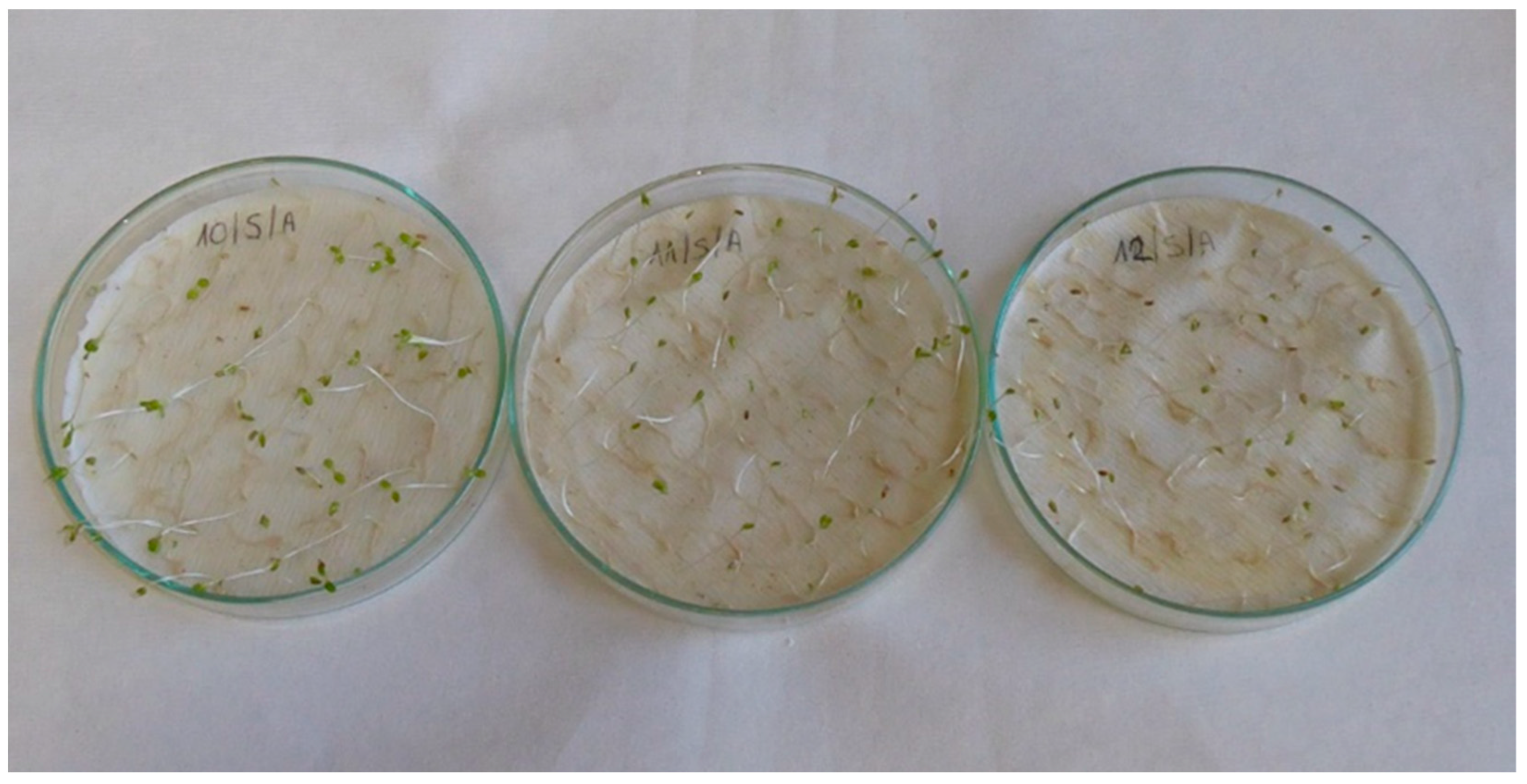 Applsci 13 02258 g0a9 Applsci 13 02258 g0a9