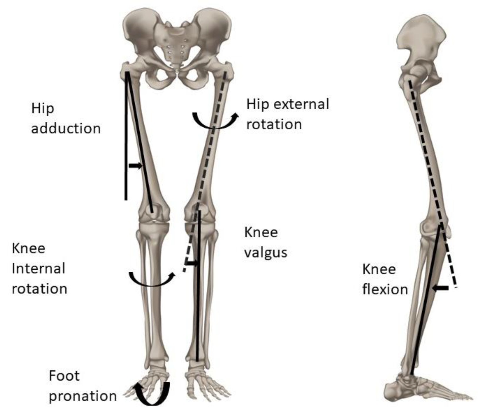 Applsci 13 02264 g002 Applsci 13 02264 g002
