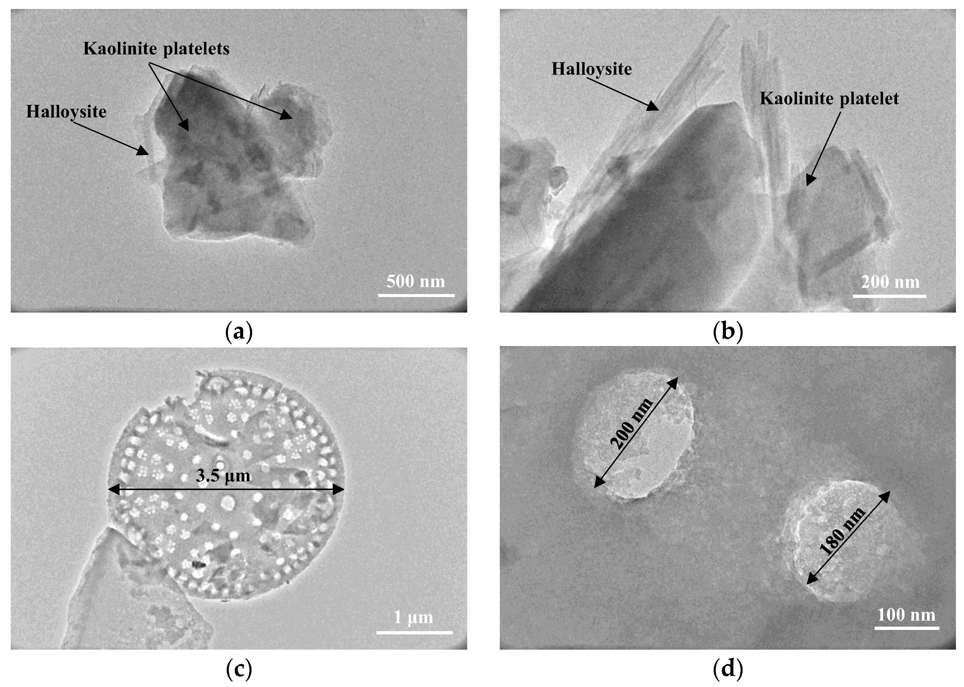 Applsci 13 02287 g004 550