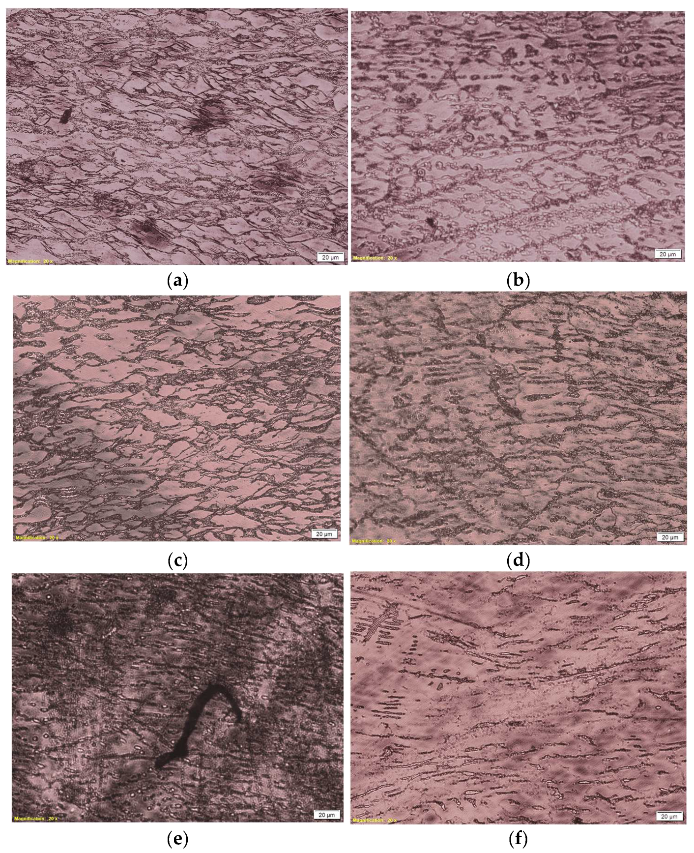 Applsci 13 02310 g009 550