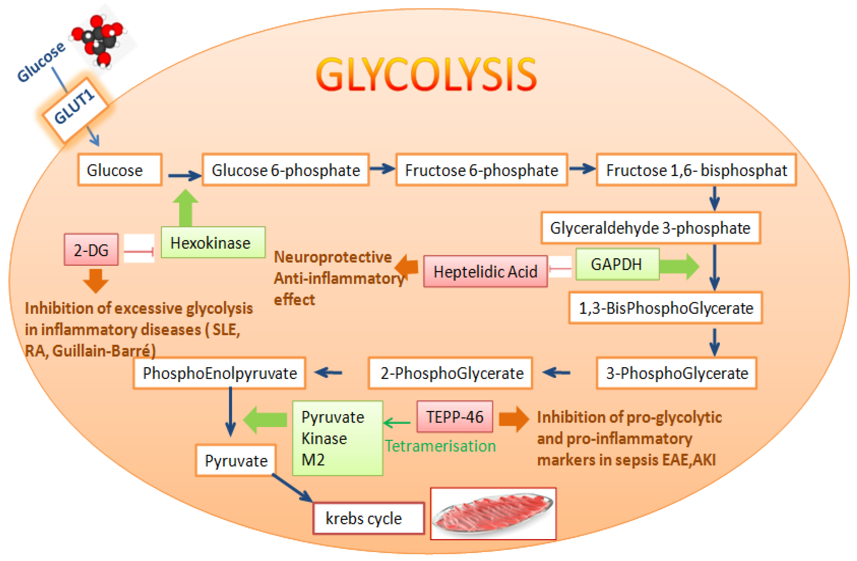 Applsci 13 02312 g001 Applsci 13 02312 g001