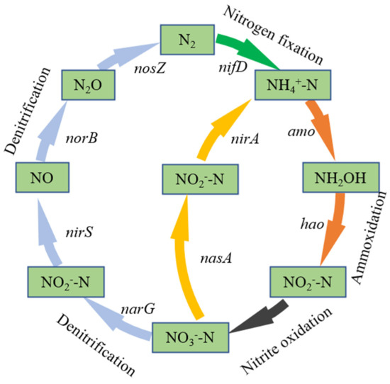 Decontamination and Ecological Restoration Performance of a