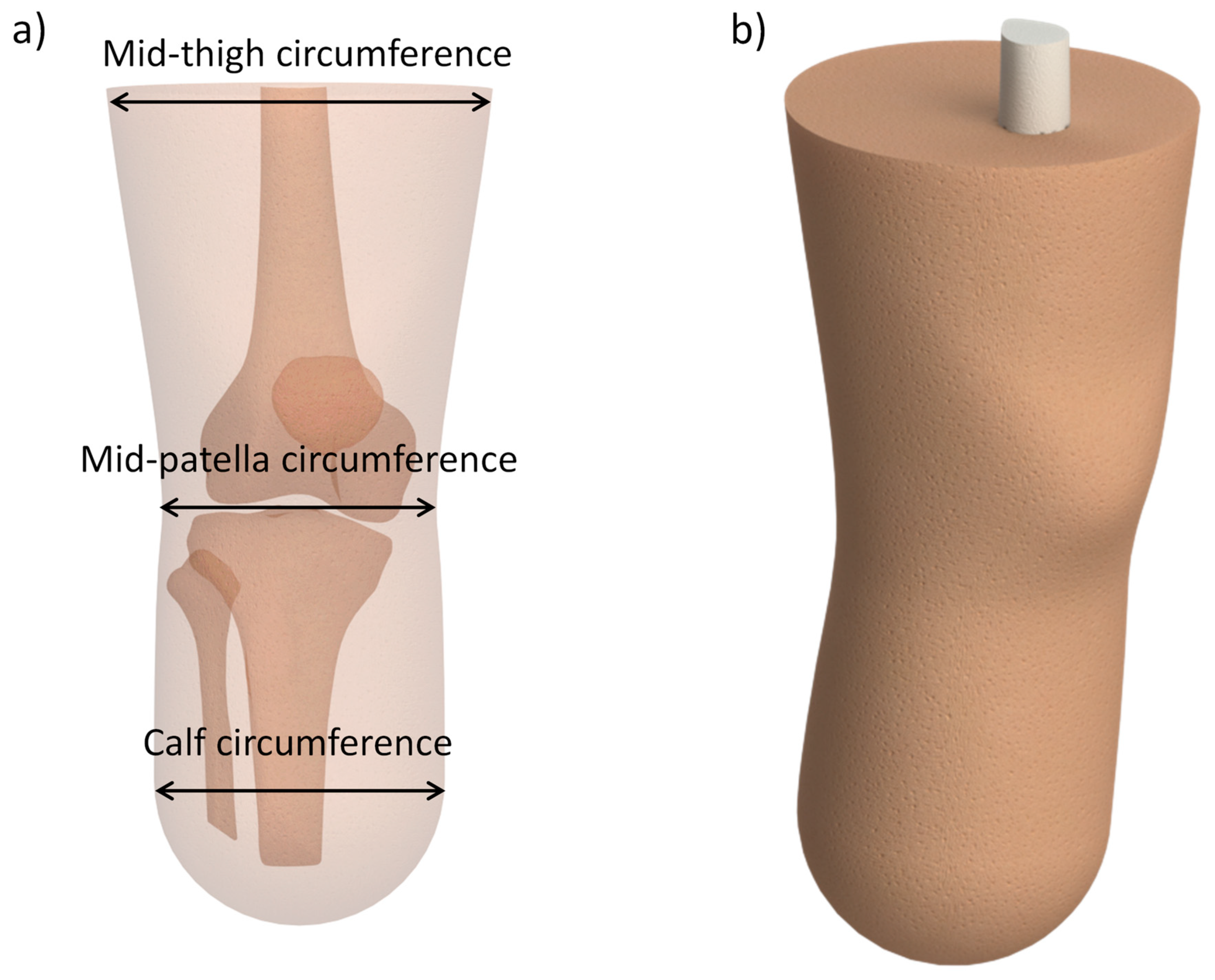 Applsci 13 02339 g002 Applsci 13 02339 g002