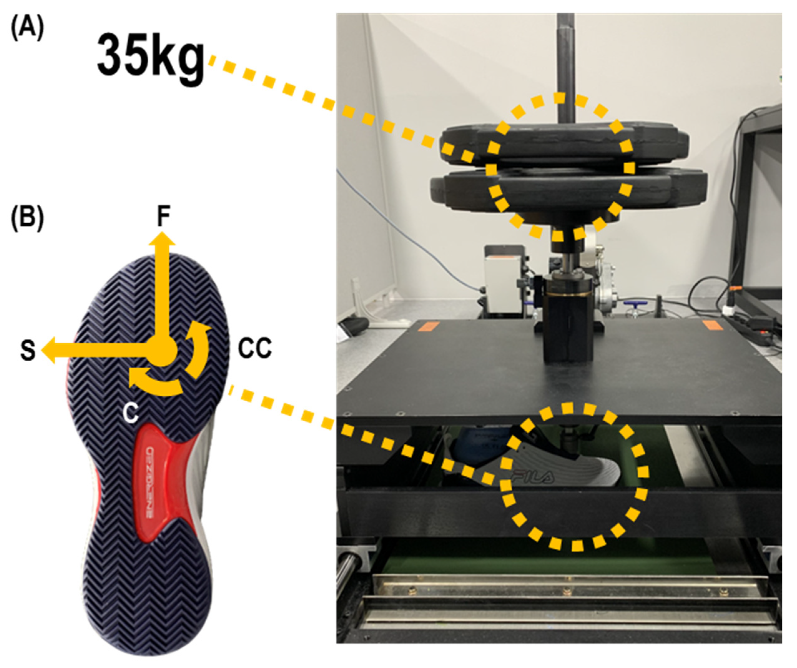 Applsci 13 02342 g002