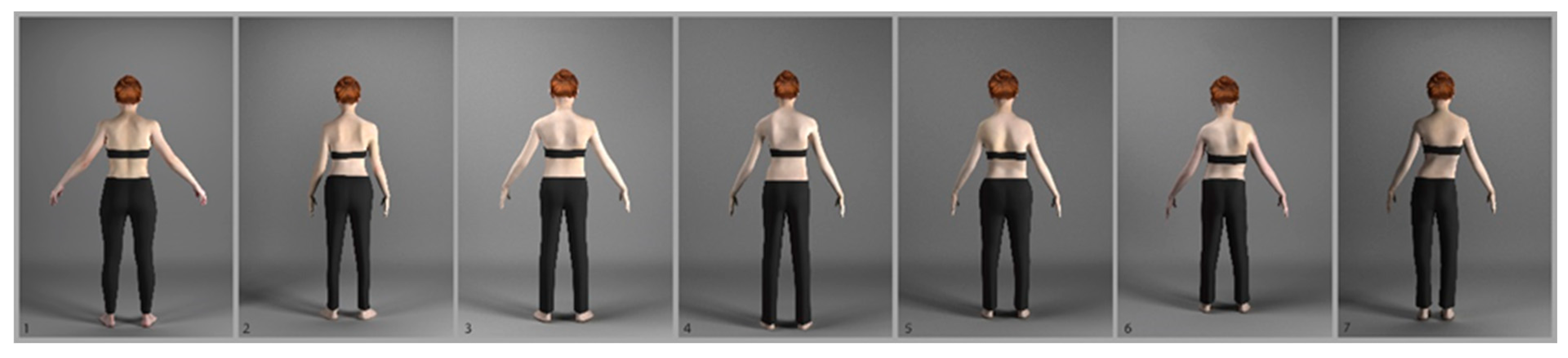 Applsci 13 02374 g004