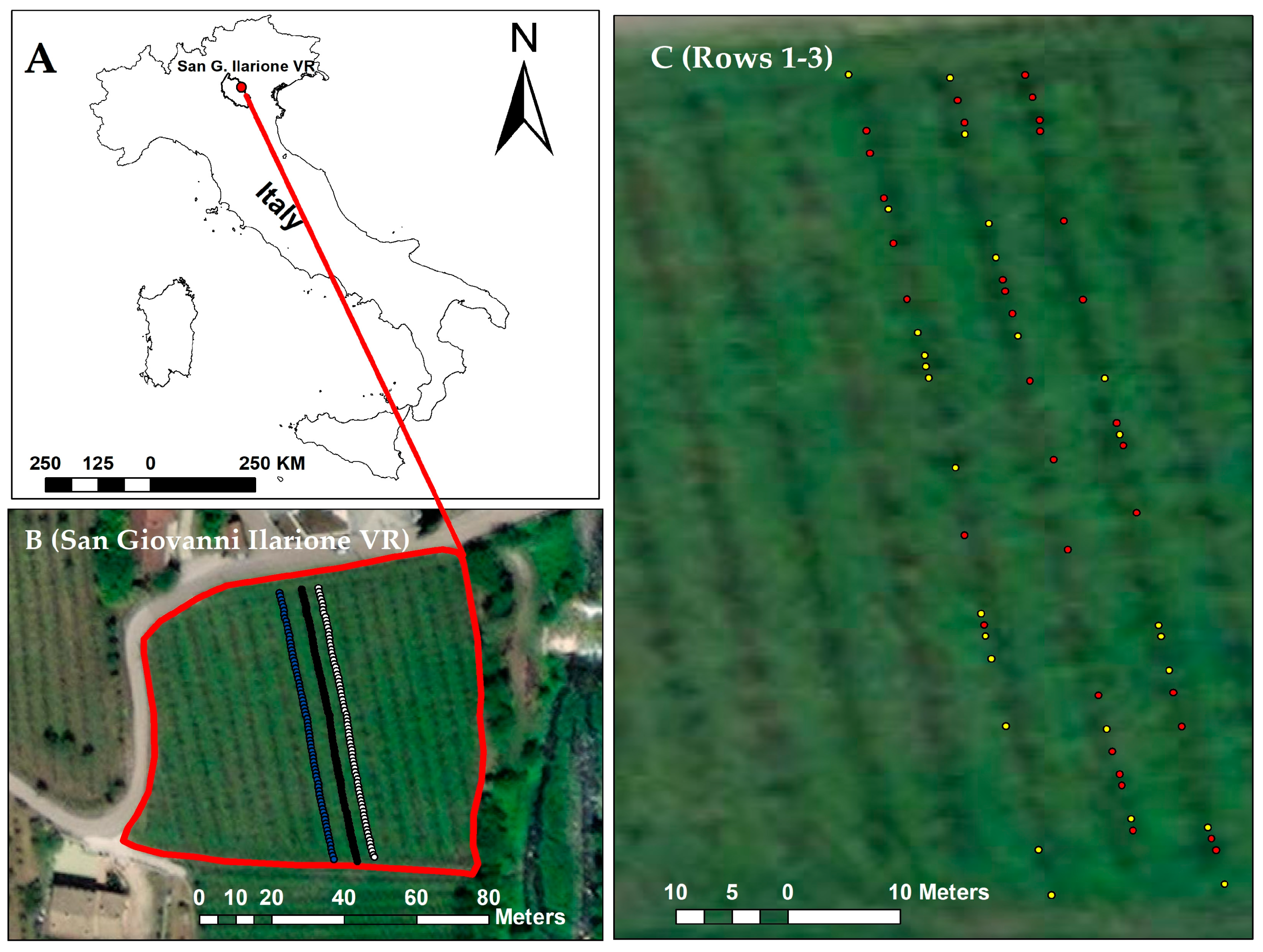 Applsci 13 02388 g001 Applsci 13 02388 g001