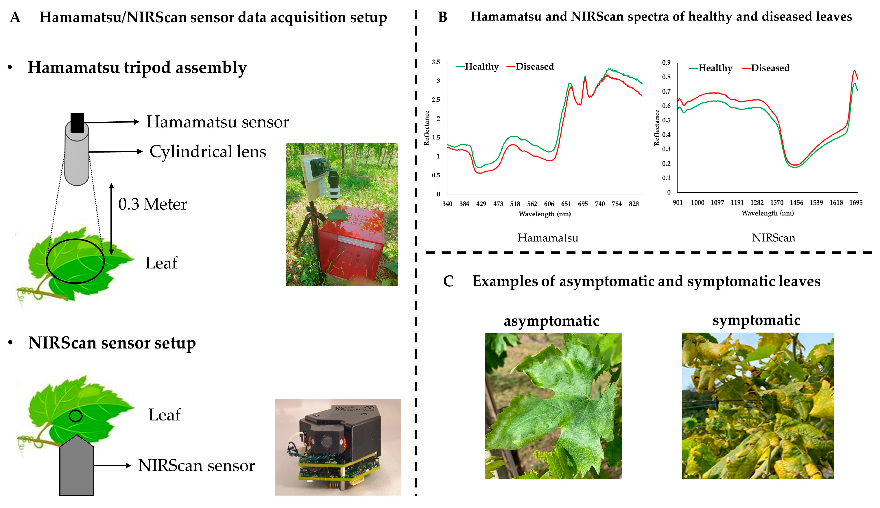 Applsci 13 02388 g002 Applsci 13 02388 g002