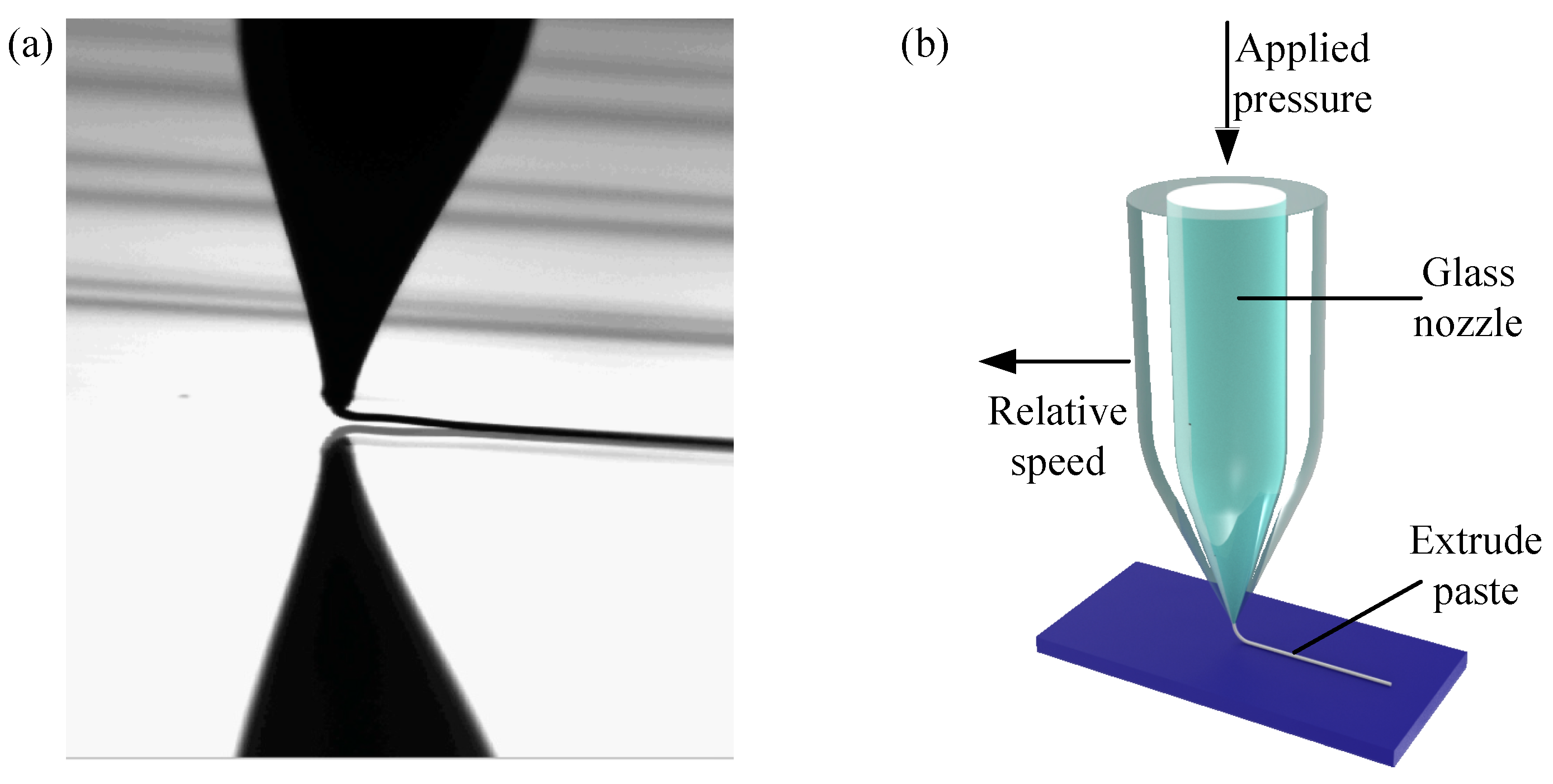 Applsci 13 02389 g004 Applsci 13 02389 g004