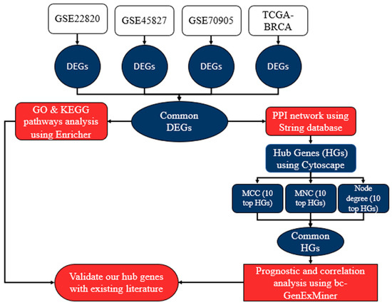 Identification of Hub Genes Associated with Breast Cancer Using ...