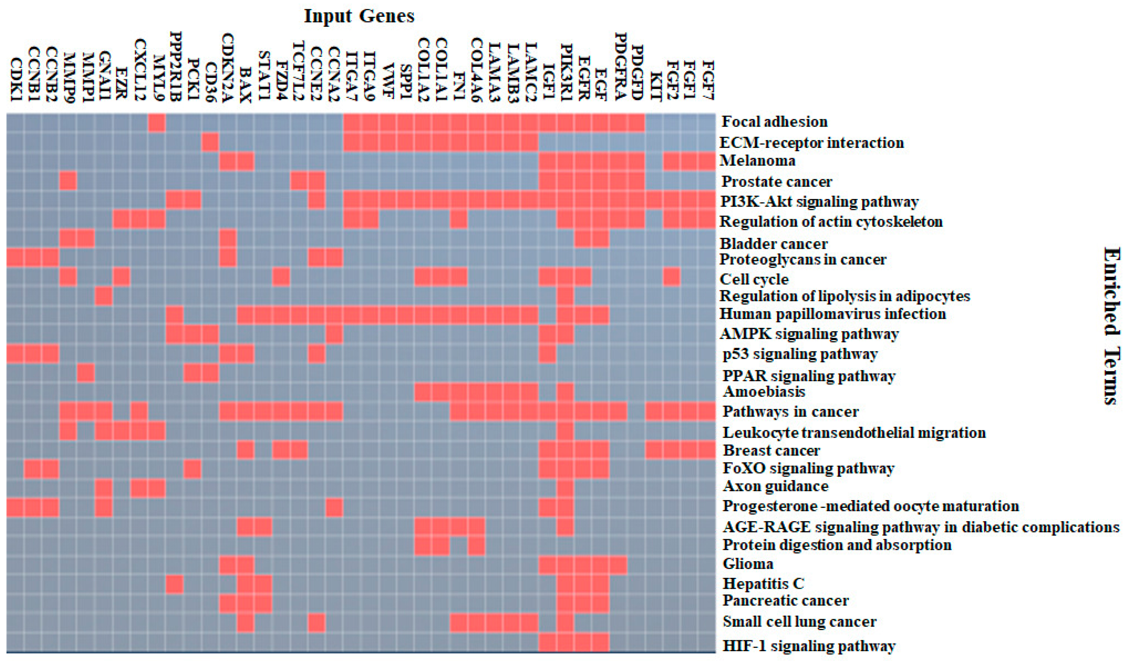 Applsci 13 02403 g003 Applsci 13 02403 g003