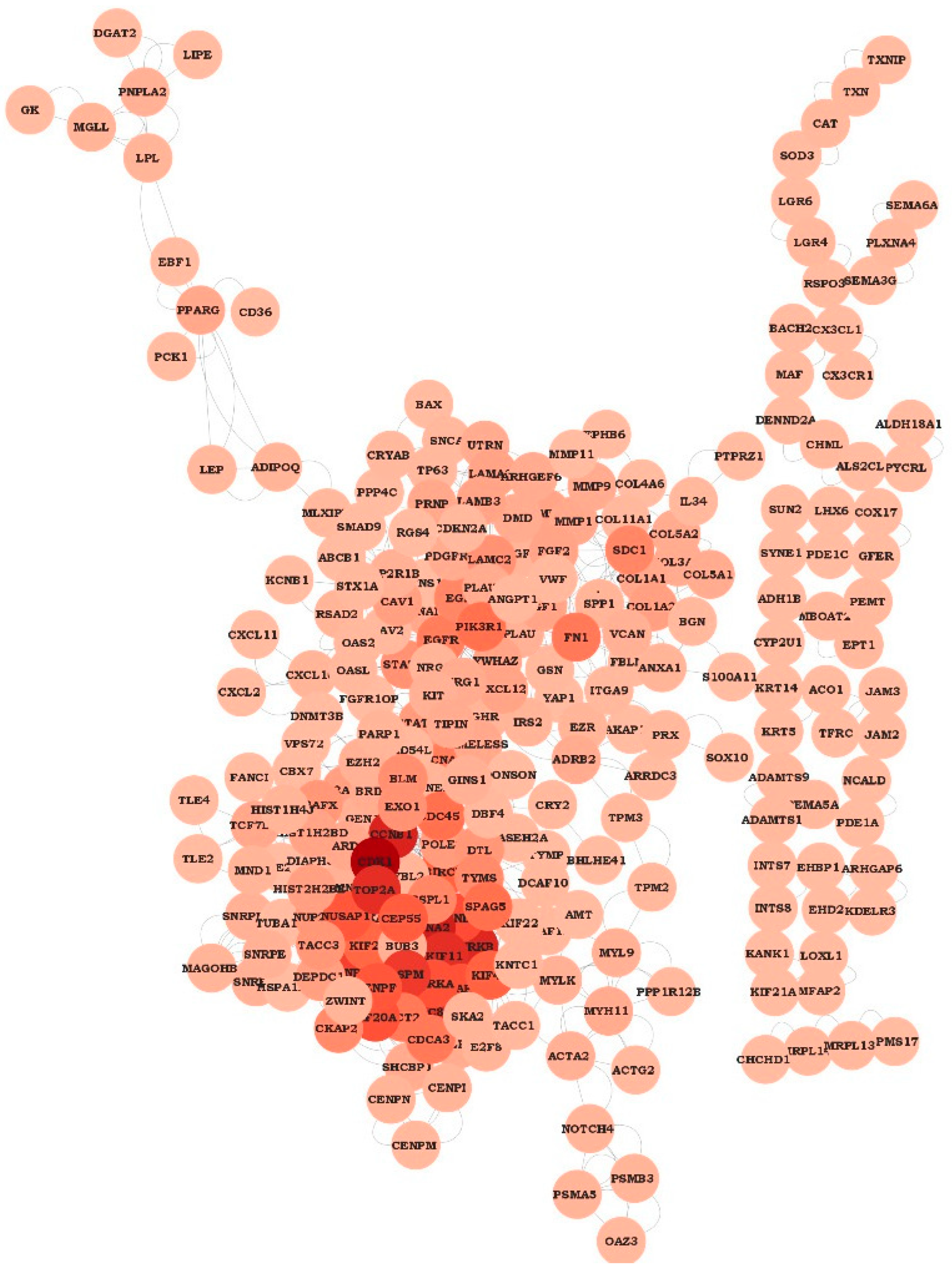 Applsci 13 02403 g004 Applsci 13 02403 g004