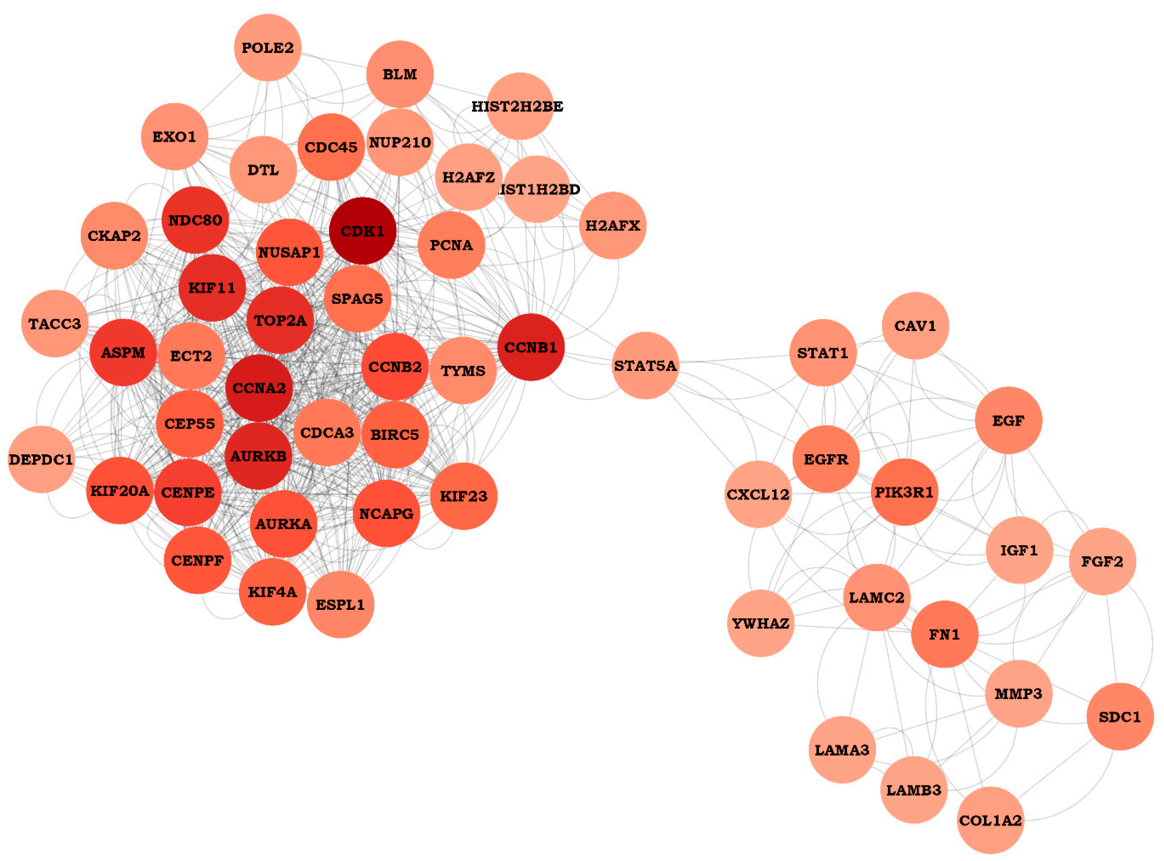 Applsci 13 02403 g005 Applsci 13 02403 g005