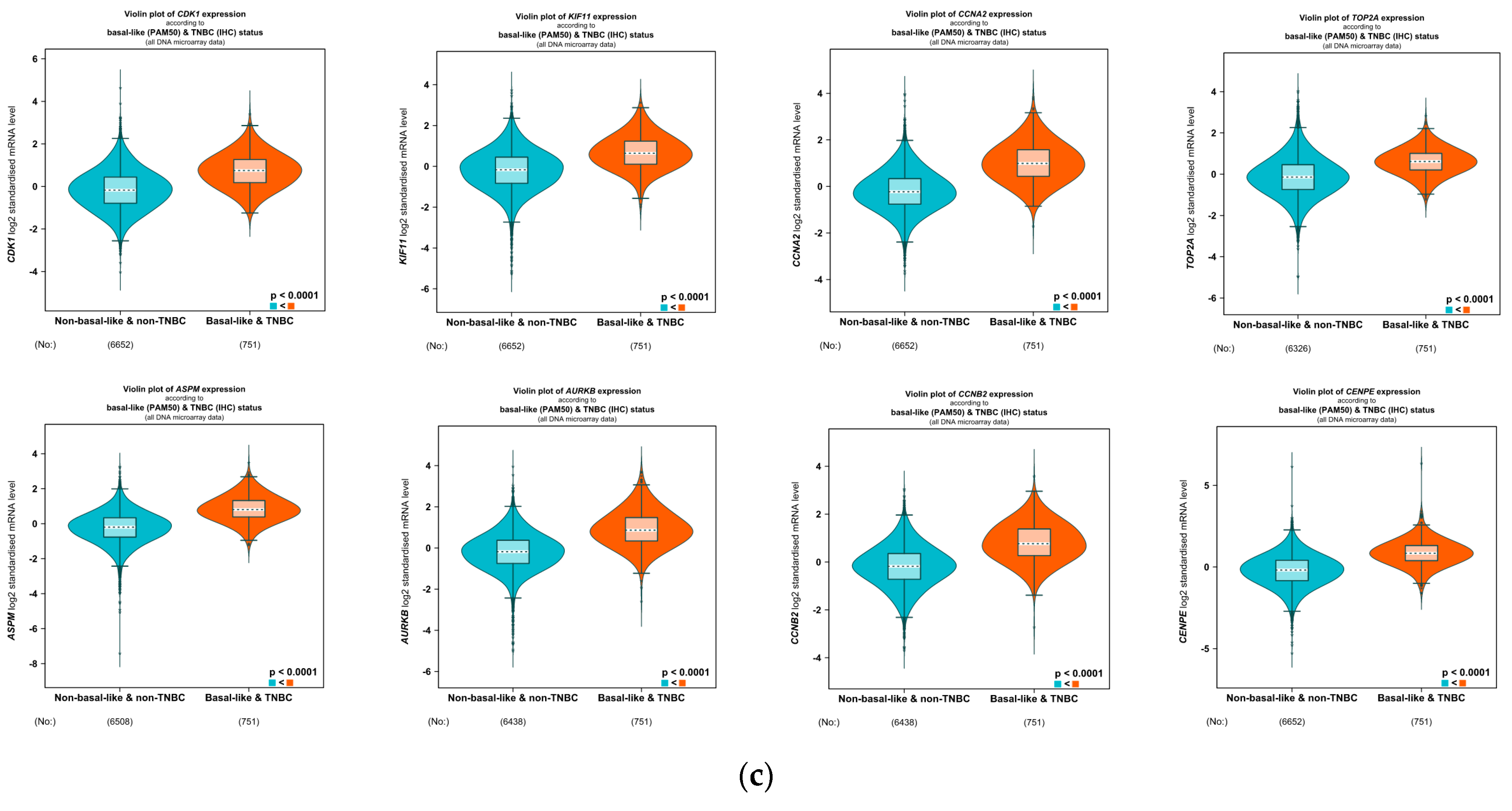 Applsci 13 02403 g010b Applsci 13 02403 g010b