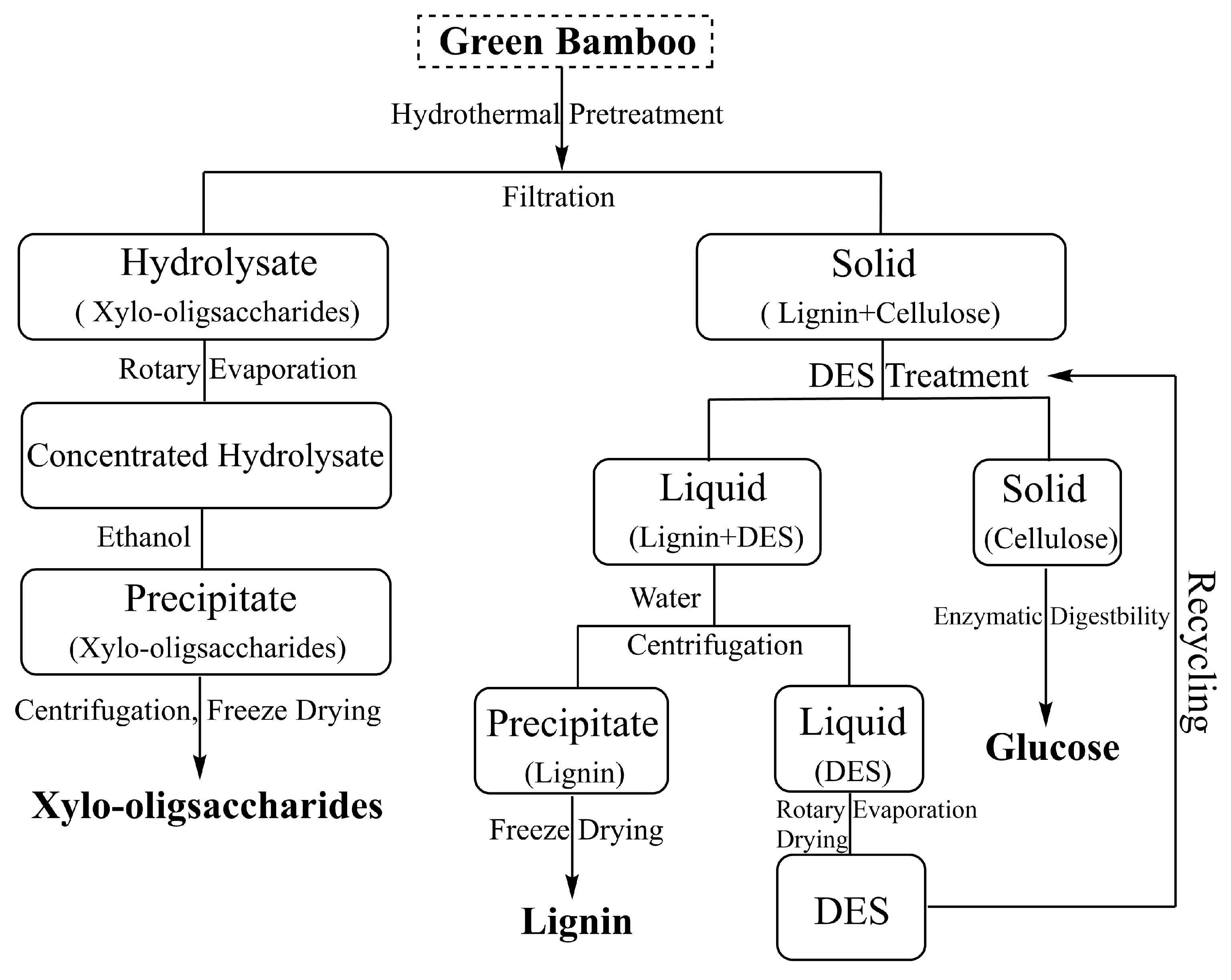 Applsci 13 02429 g001 Applsci 13 02429 g001