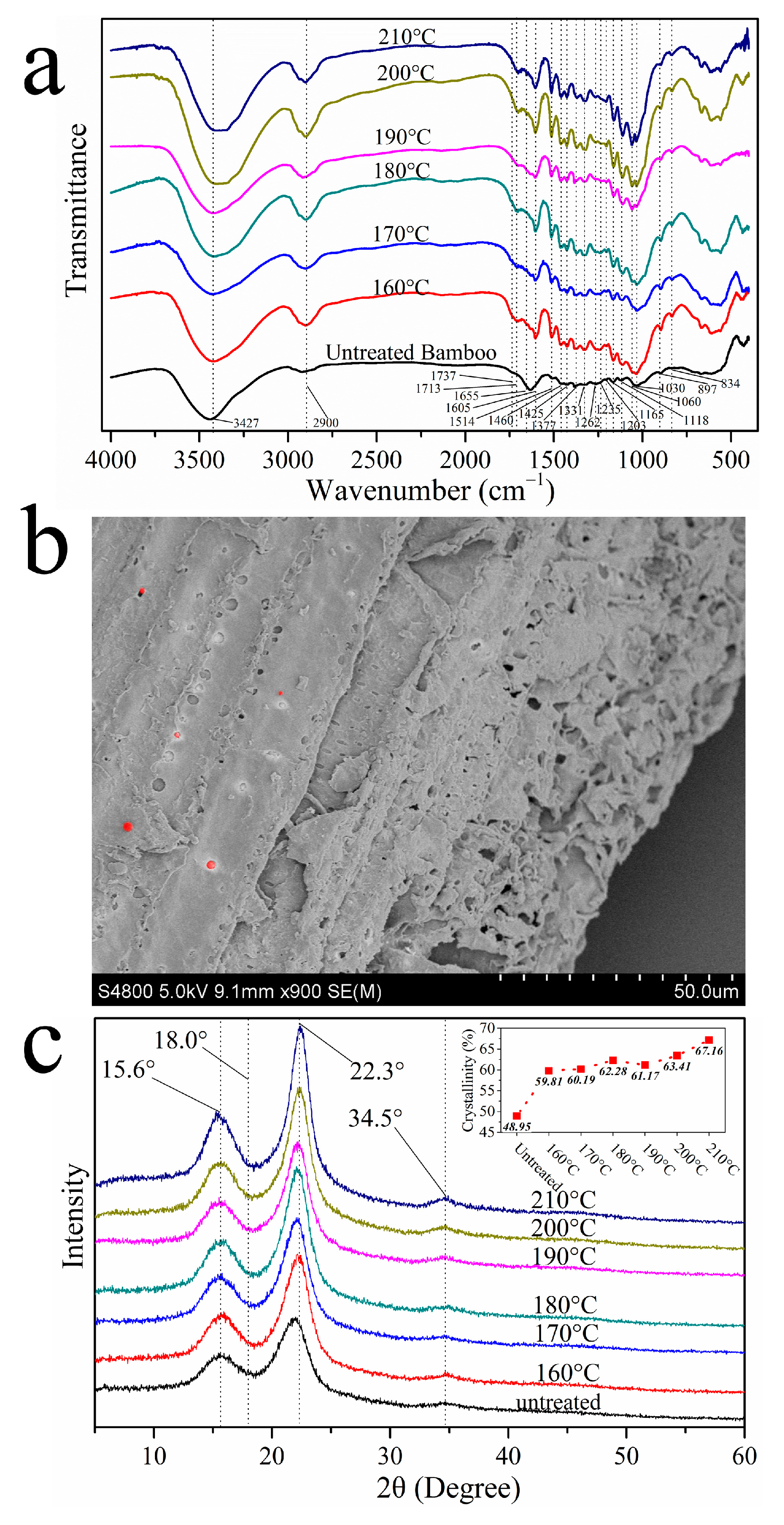 Applsci 13 02429 g003 Applsci 13 02429 g003