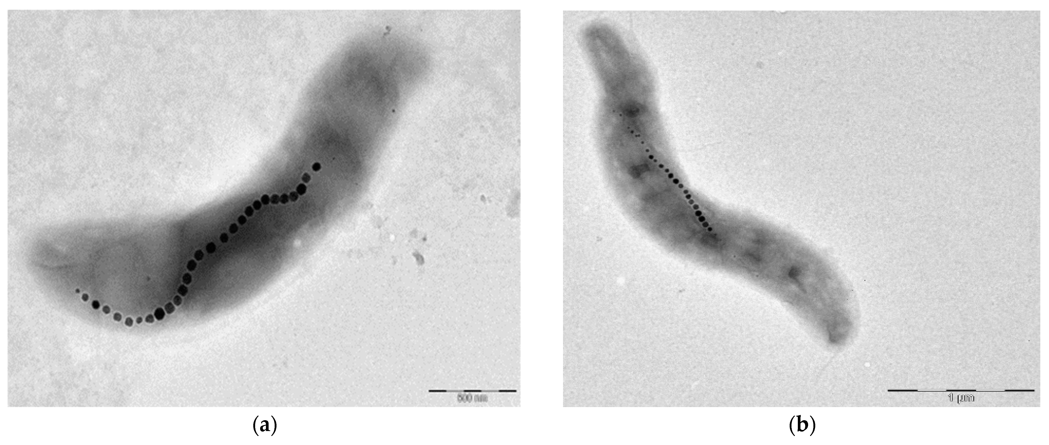 Applsci 13 02431 g002 Applsci 13 02431 g002