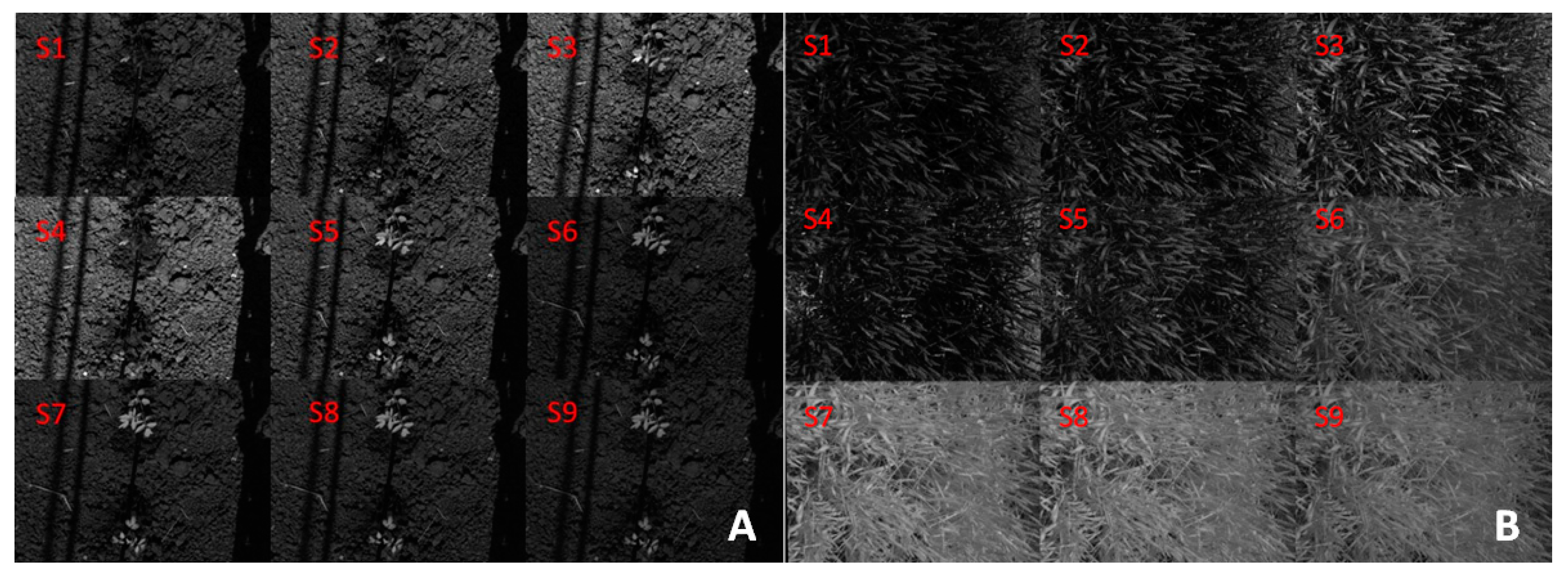 Applsci 13 02436 g015 Applsci 13 02436 g015