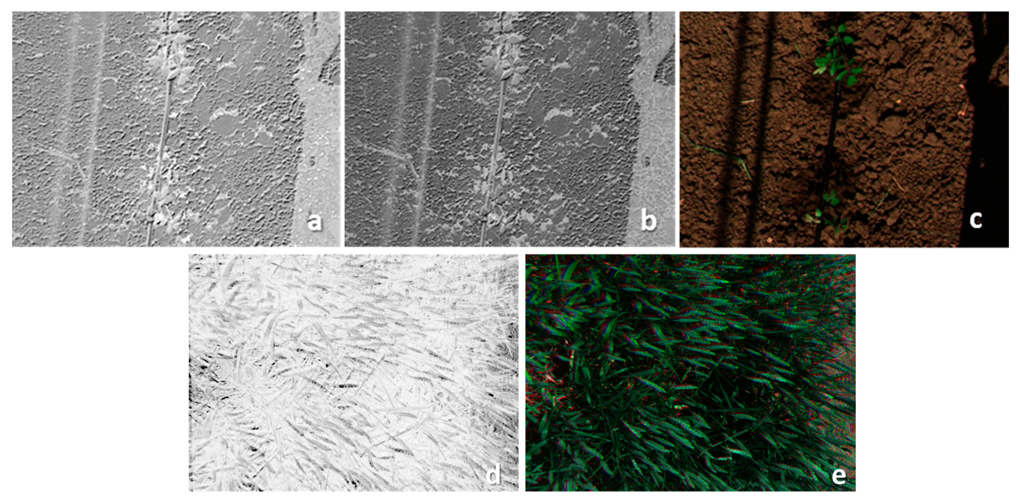 Applsci 13 02436 g016 Applsci 13 02436 g016
