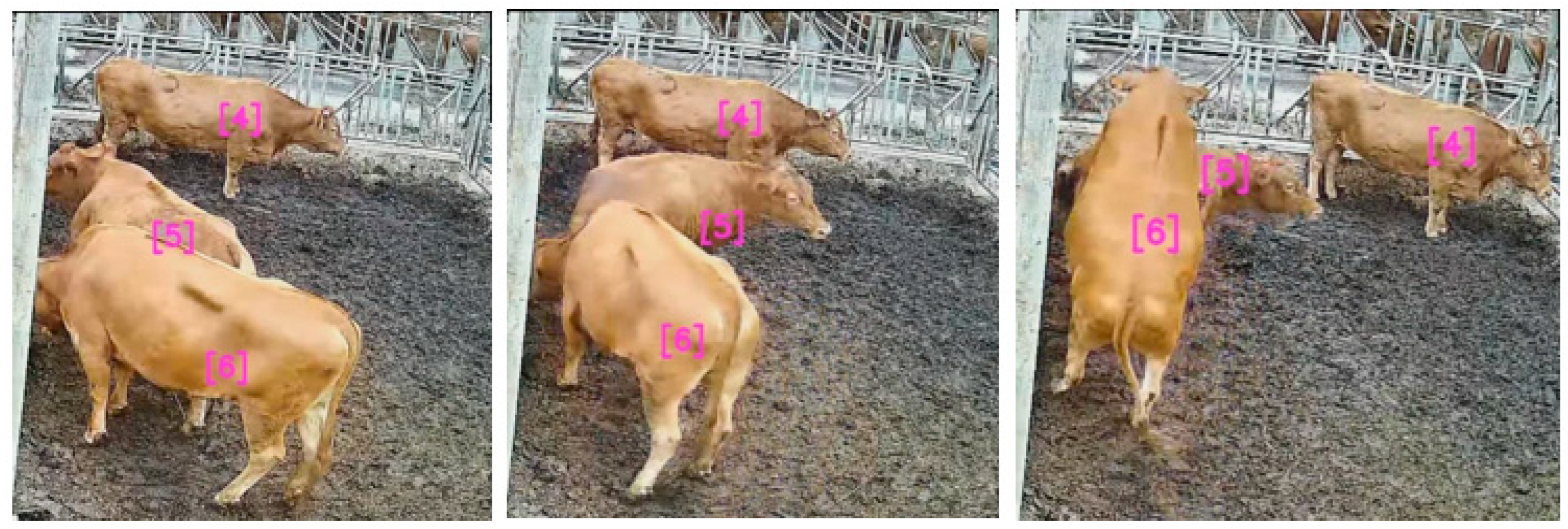 Applsci 13 02442 g005 550