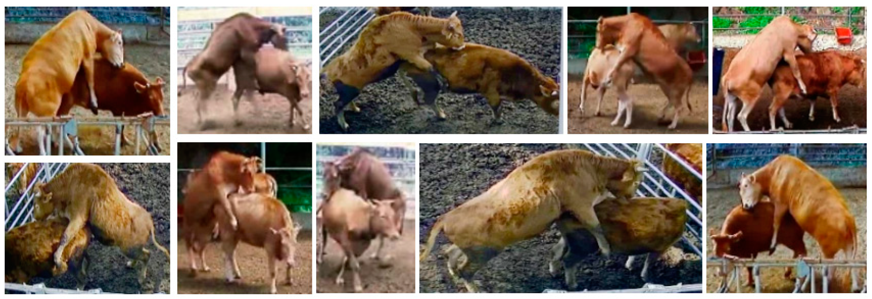 Applsci 13 02442 g007 550