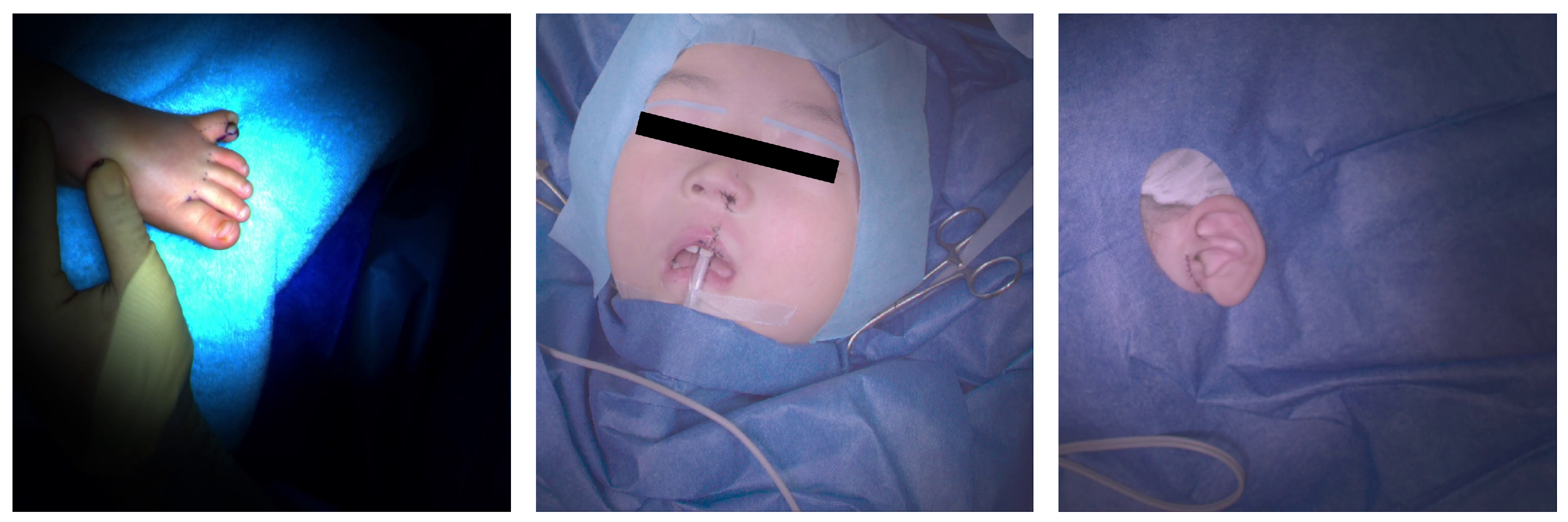 Applsci 13 02447 g003 550