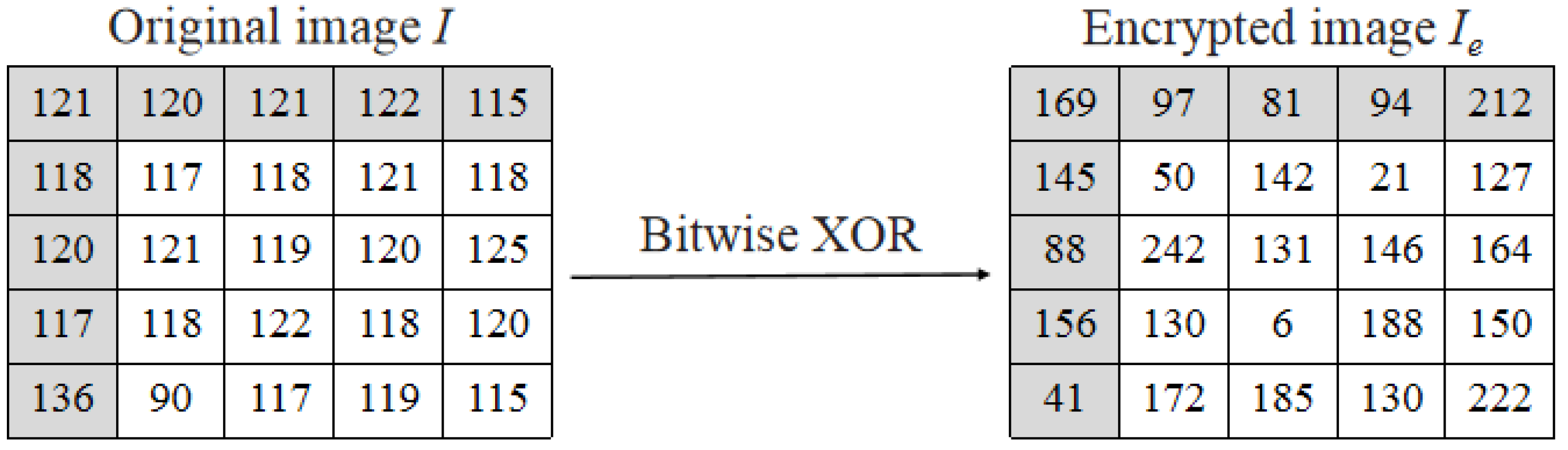 Applsci 13 02458 g007