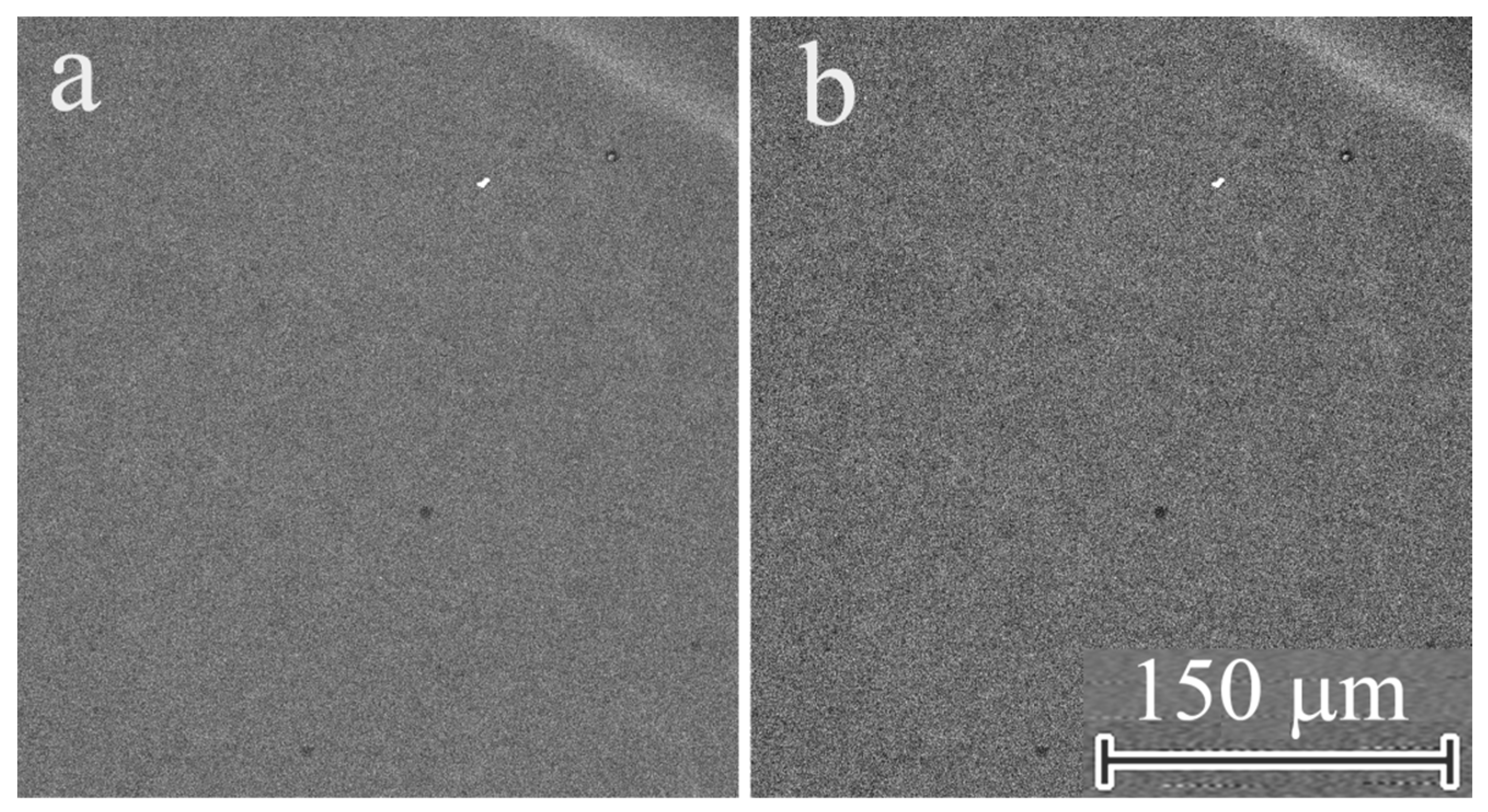 Applsci 13 02481 g003