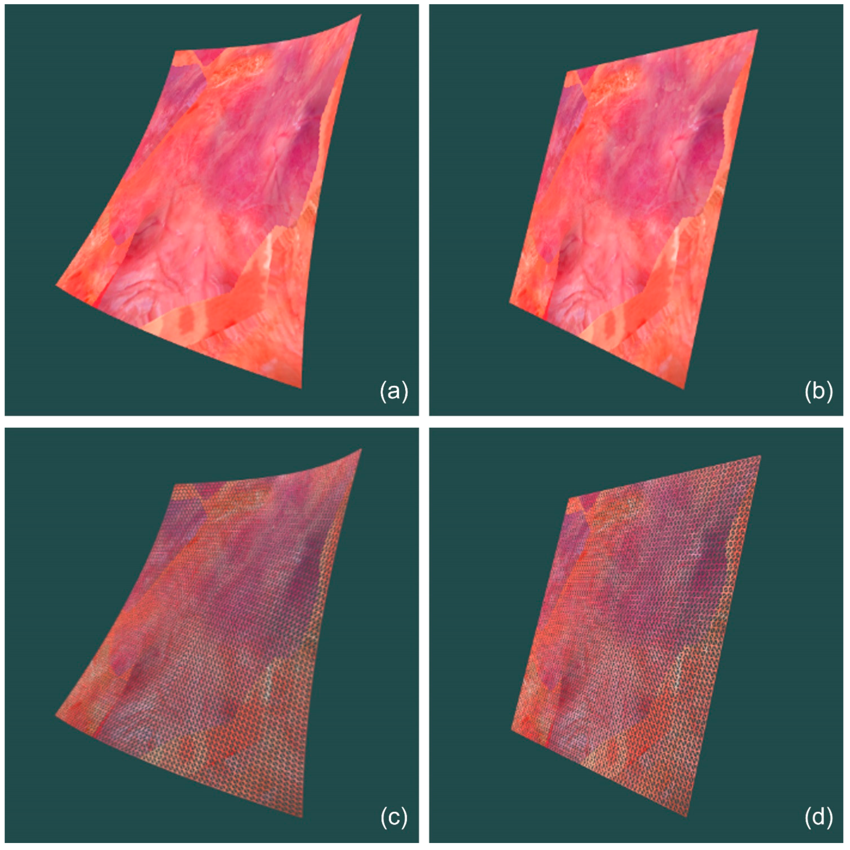 Applsci 13 02493 g011