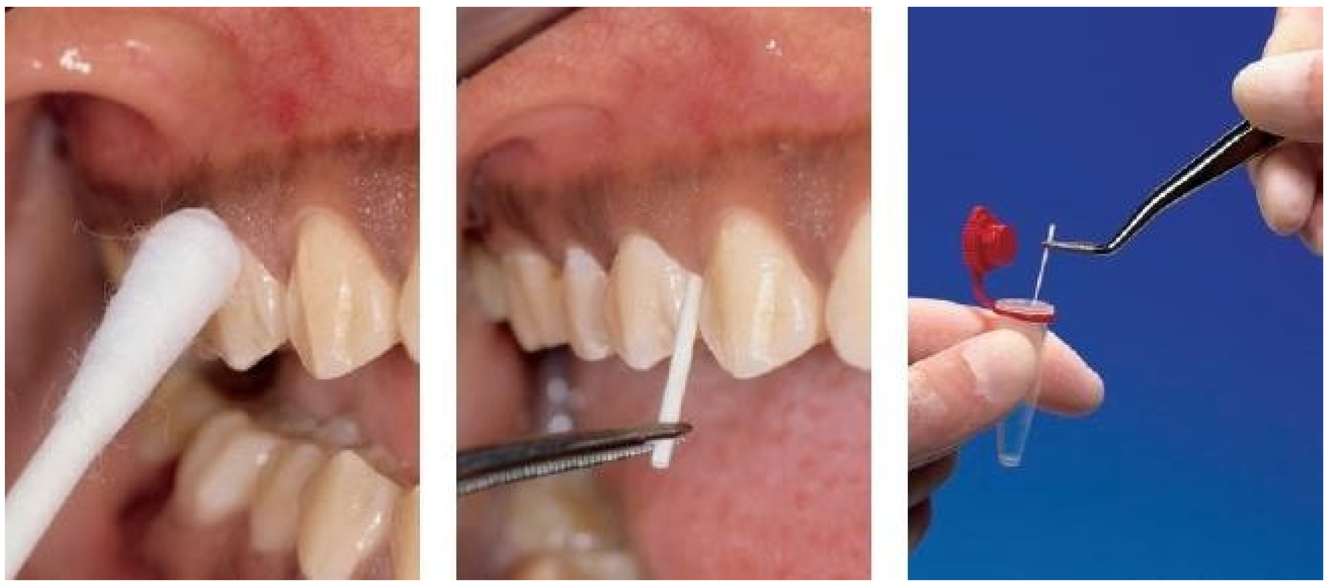 Applsci 13 02500 g001