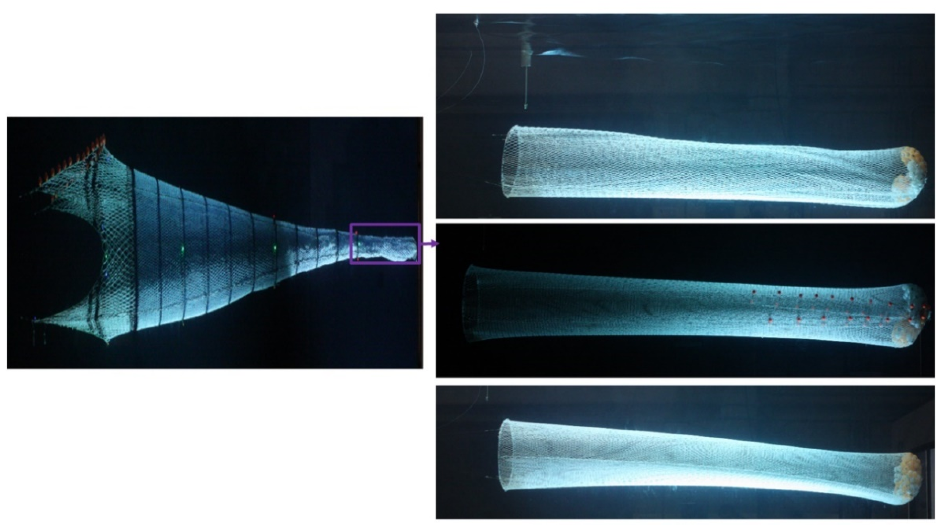 Applsci 13 02505 g002