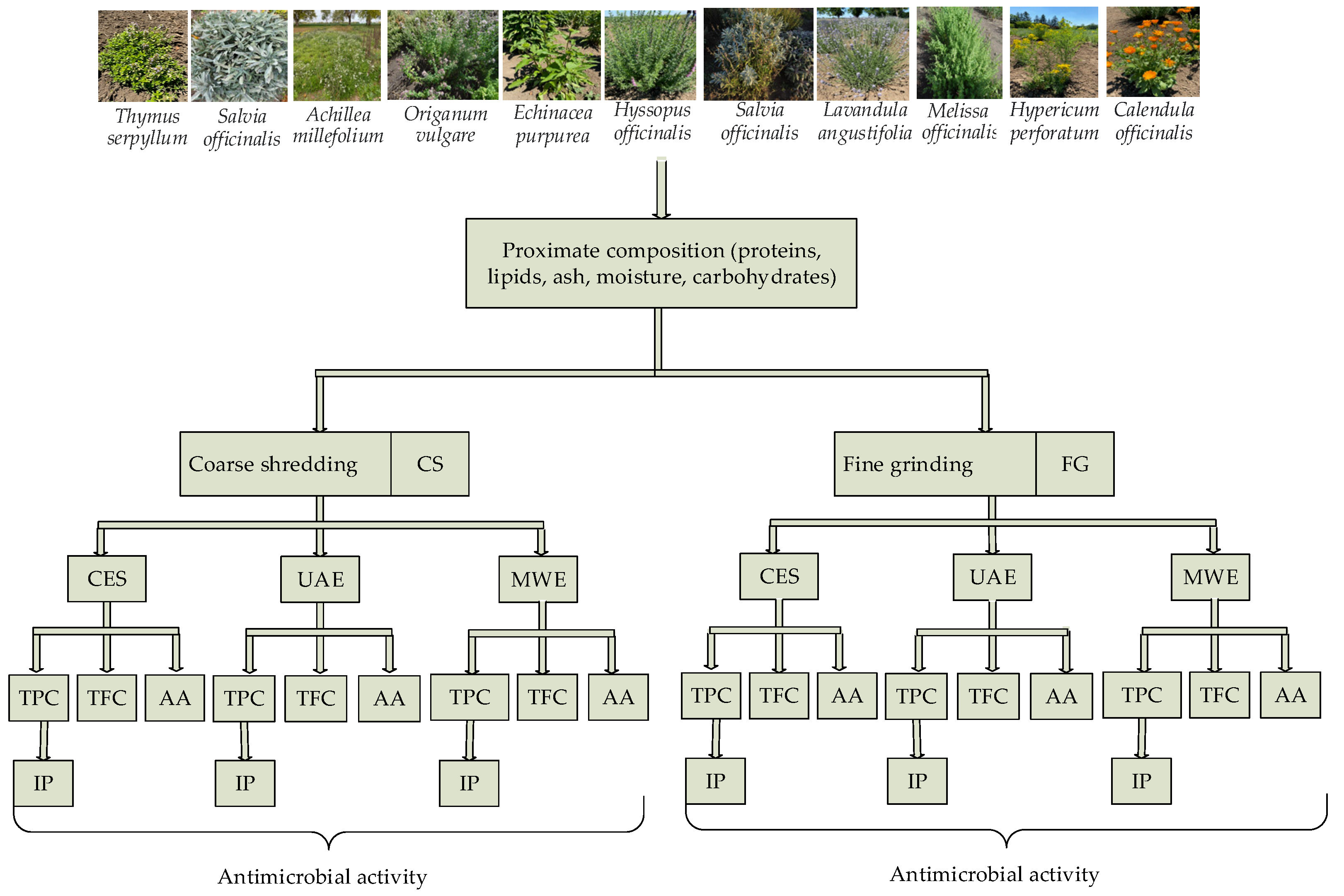 Applsci 13 02530 g001 Applsci 13 02530 g001