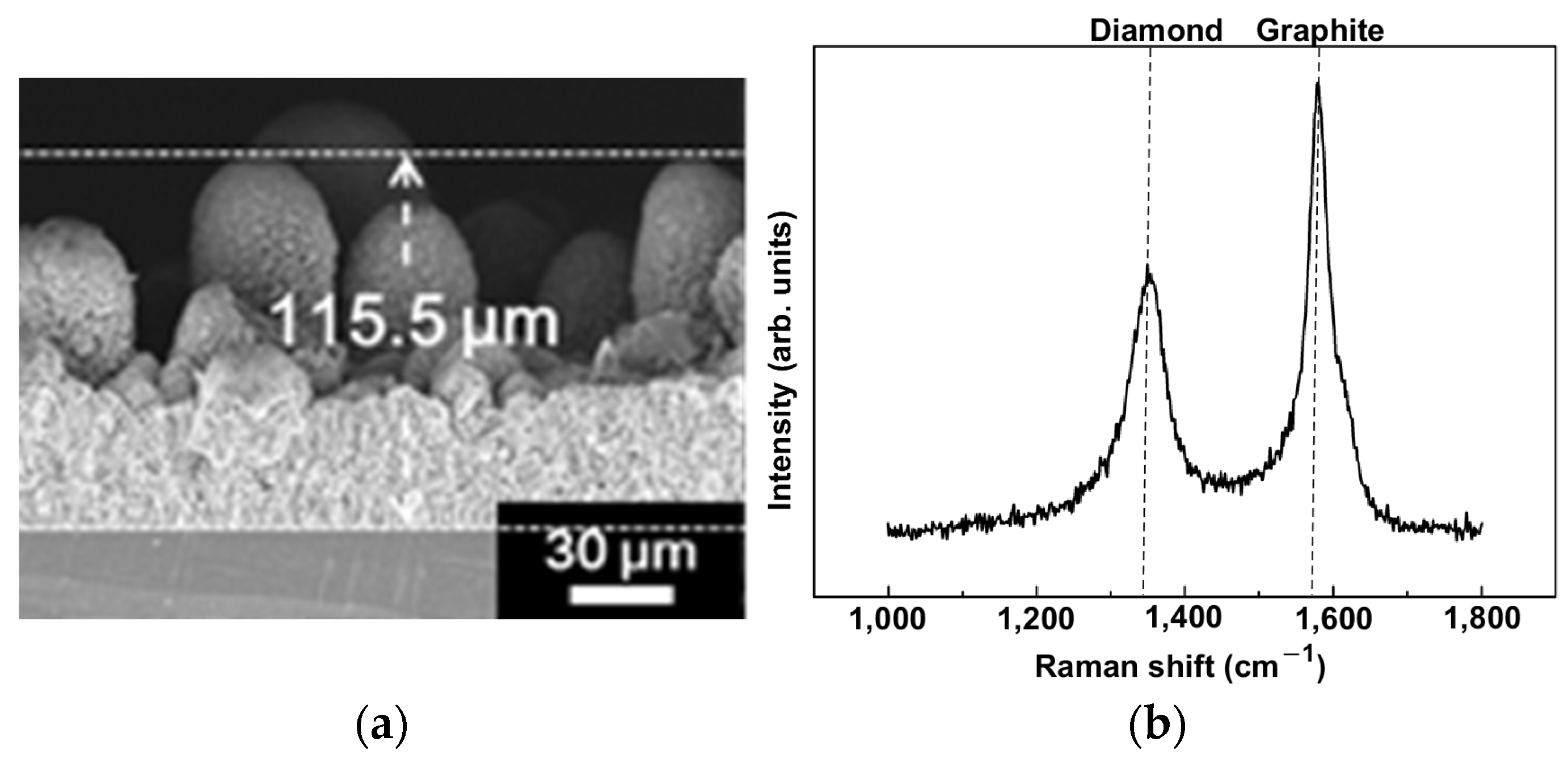 Applsci 13 02531 g014 Applsci 13 02531 g014
